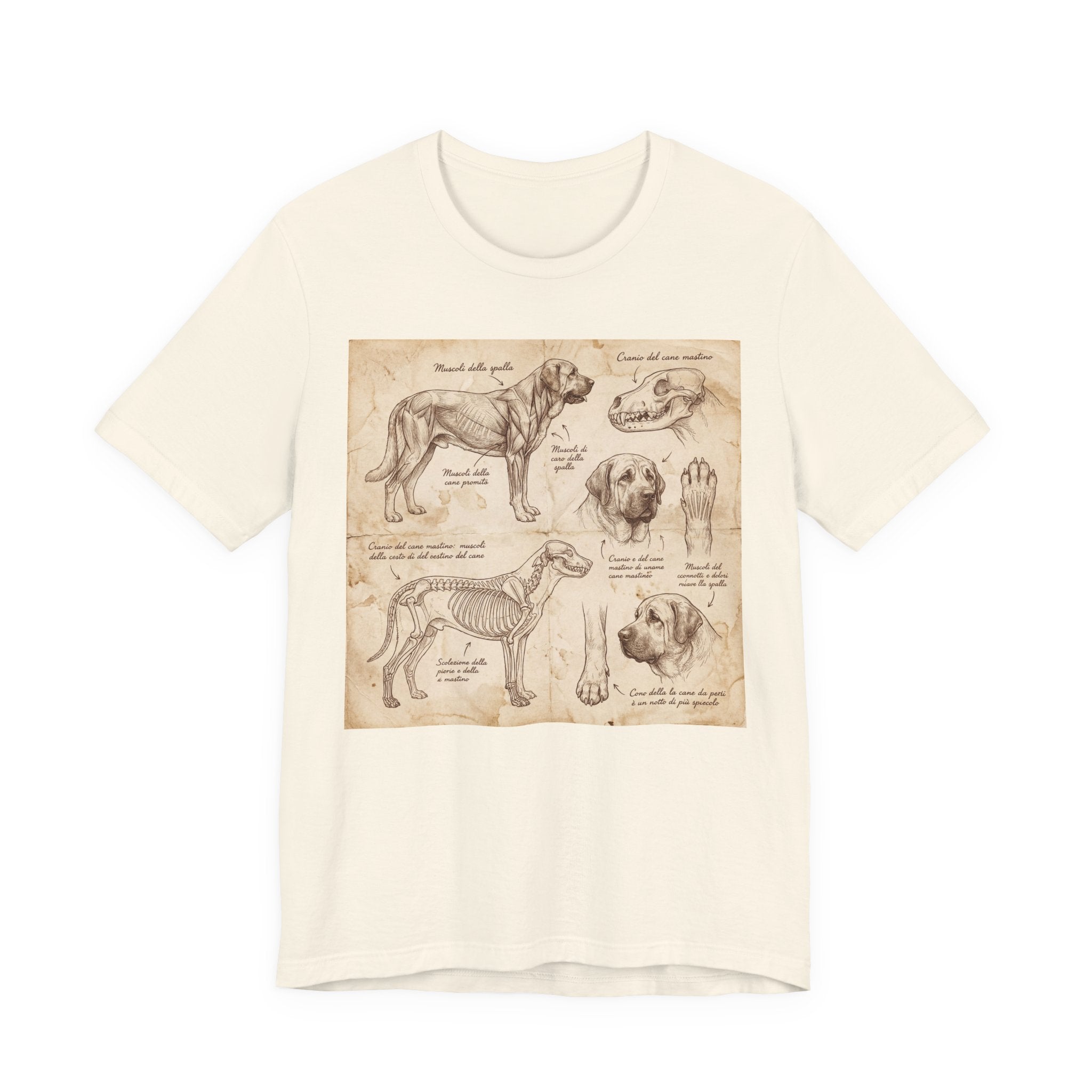 Da Vinci Style Mastiff T-Shirt — Anatomical Study Sepia Art Print