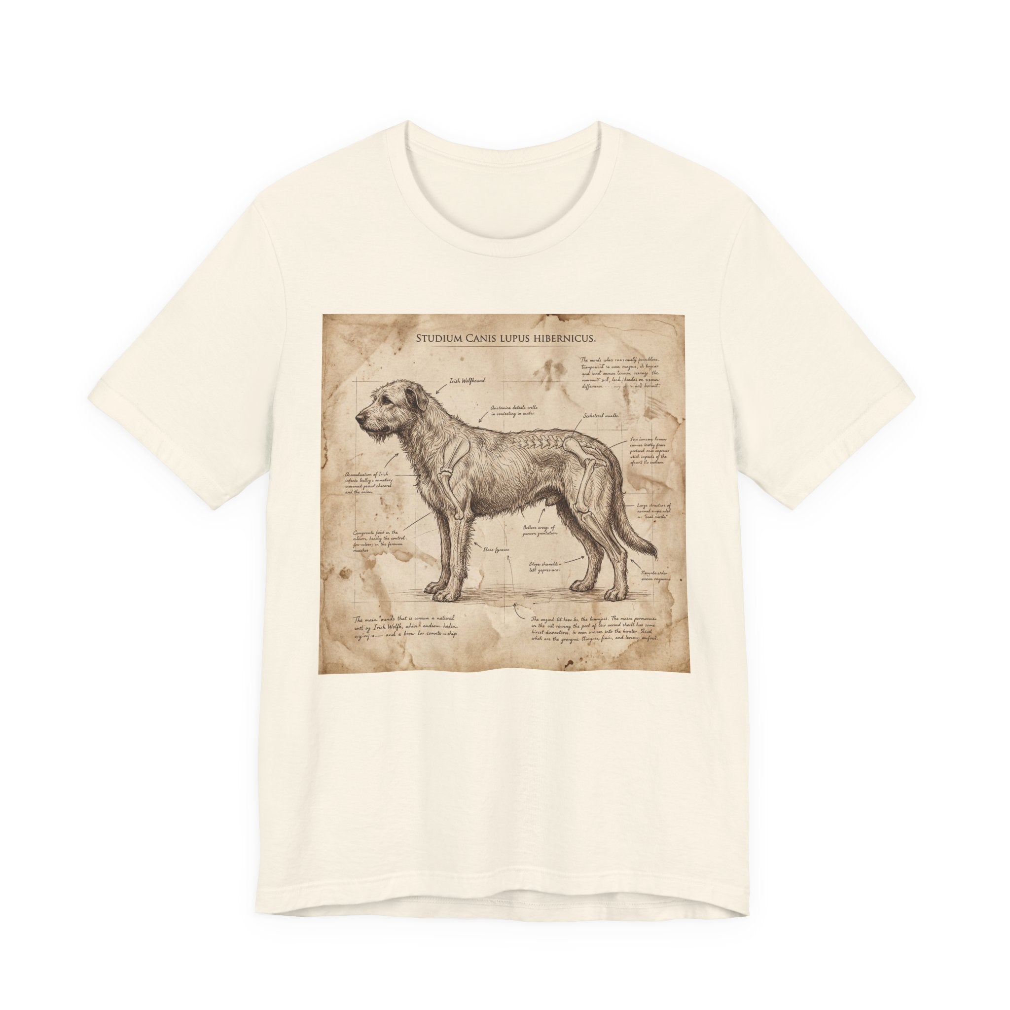 Da Vinci Study Irish Wolfhound T-Shirt — Aged Parchment Art Print