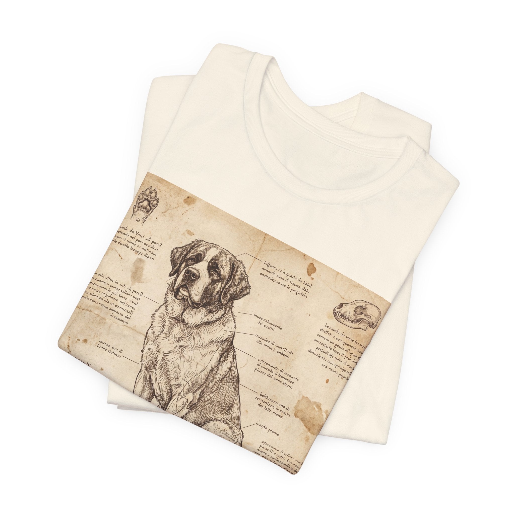 Da Vinci Style Saint Bernard T-Shirt — Anatomical Blueprint Art Print