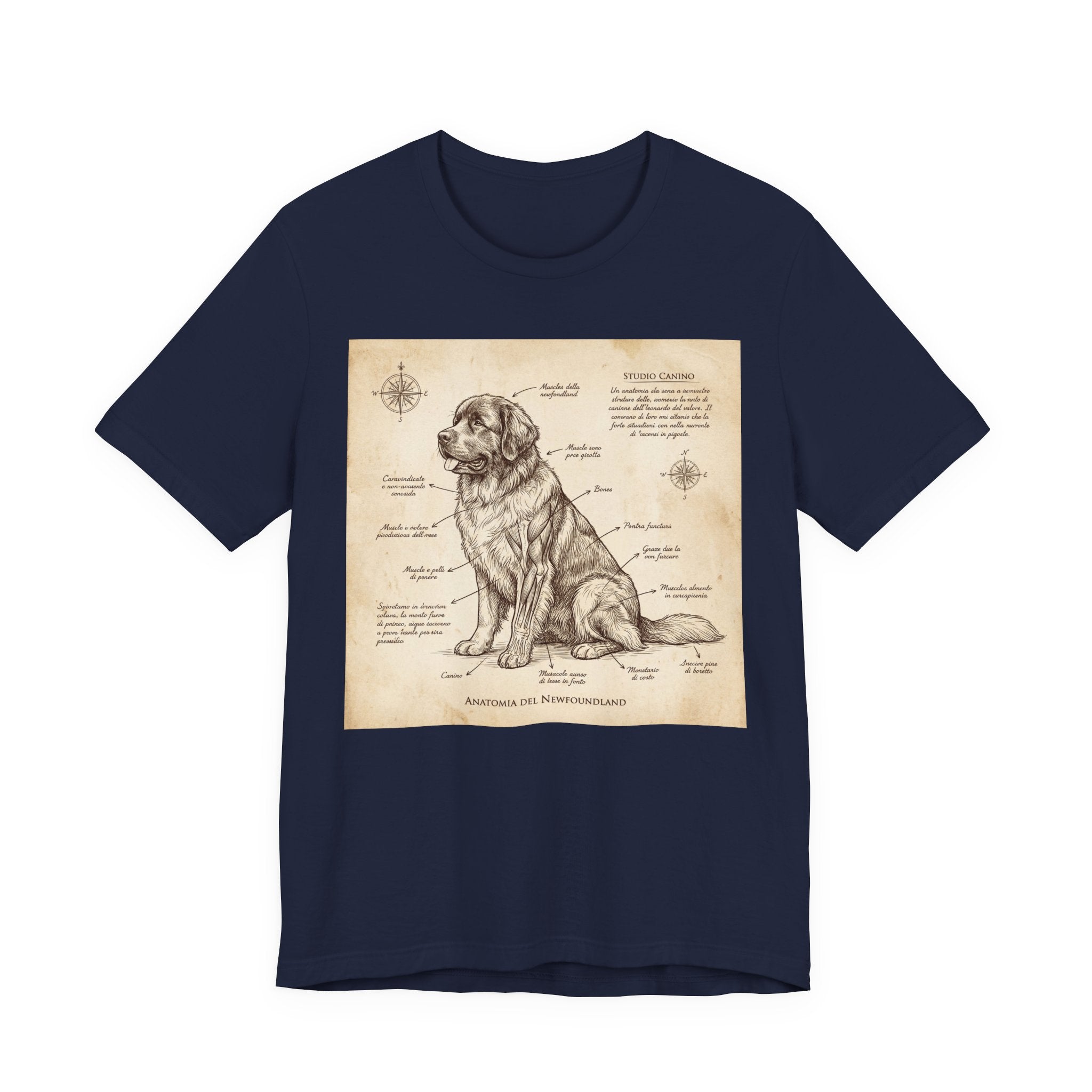 Da Vinci Style Newfoundland T-Shirt — Sepia Anatomical Study Art Print