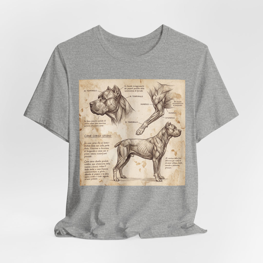 Da Vinci Style Cane Corso T-Shirt — Anatomical Study Art Print