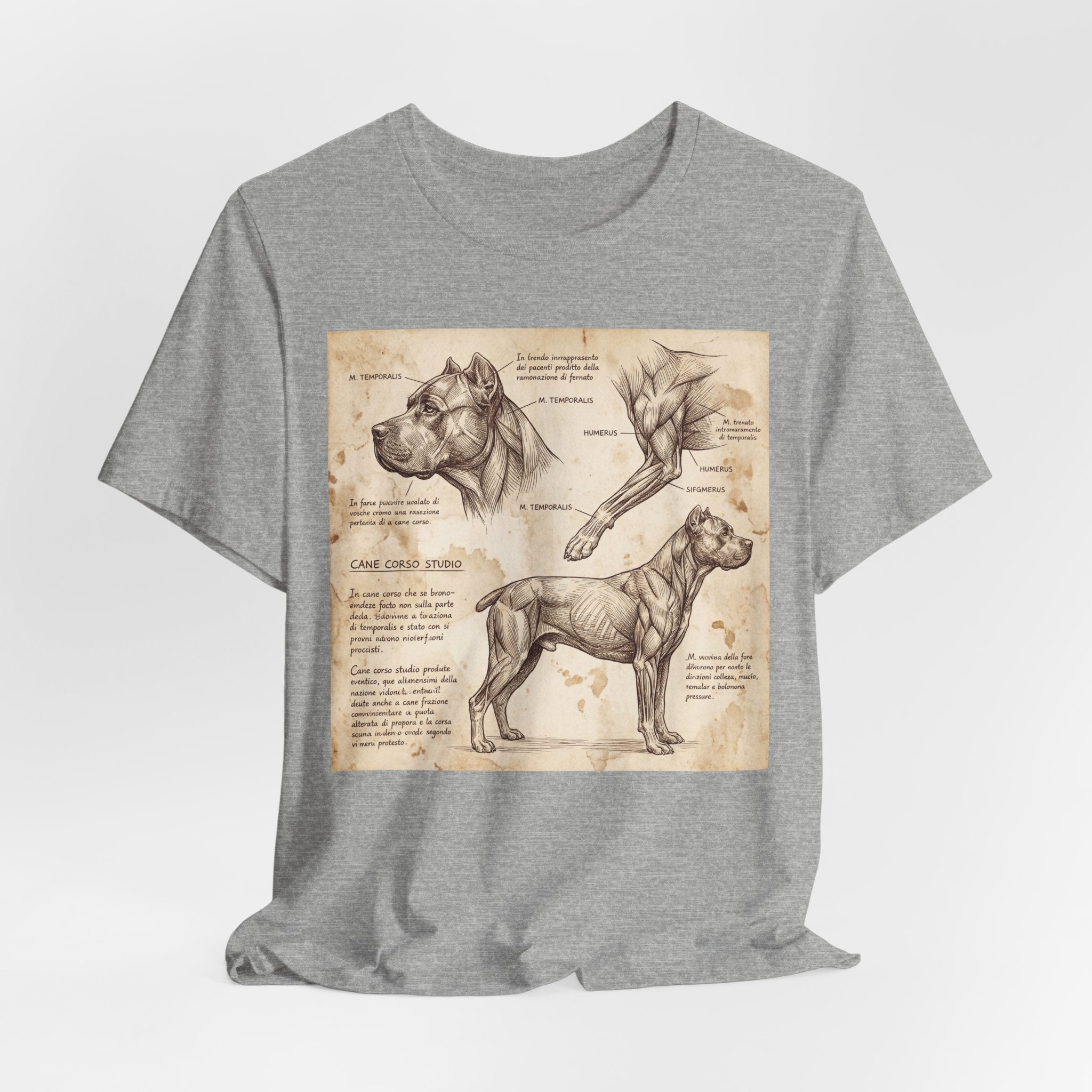 Da Vinci Style Cane Corso T-Shirt — Anatomical Study Art Print