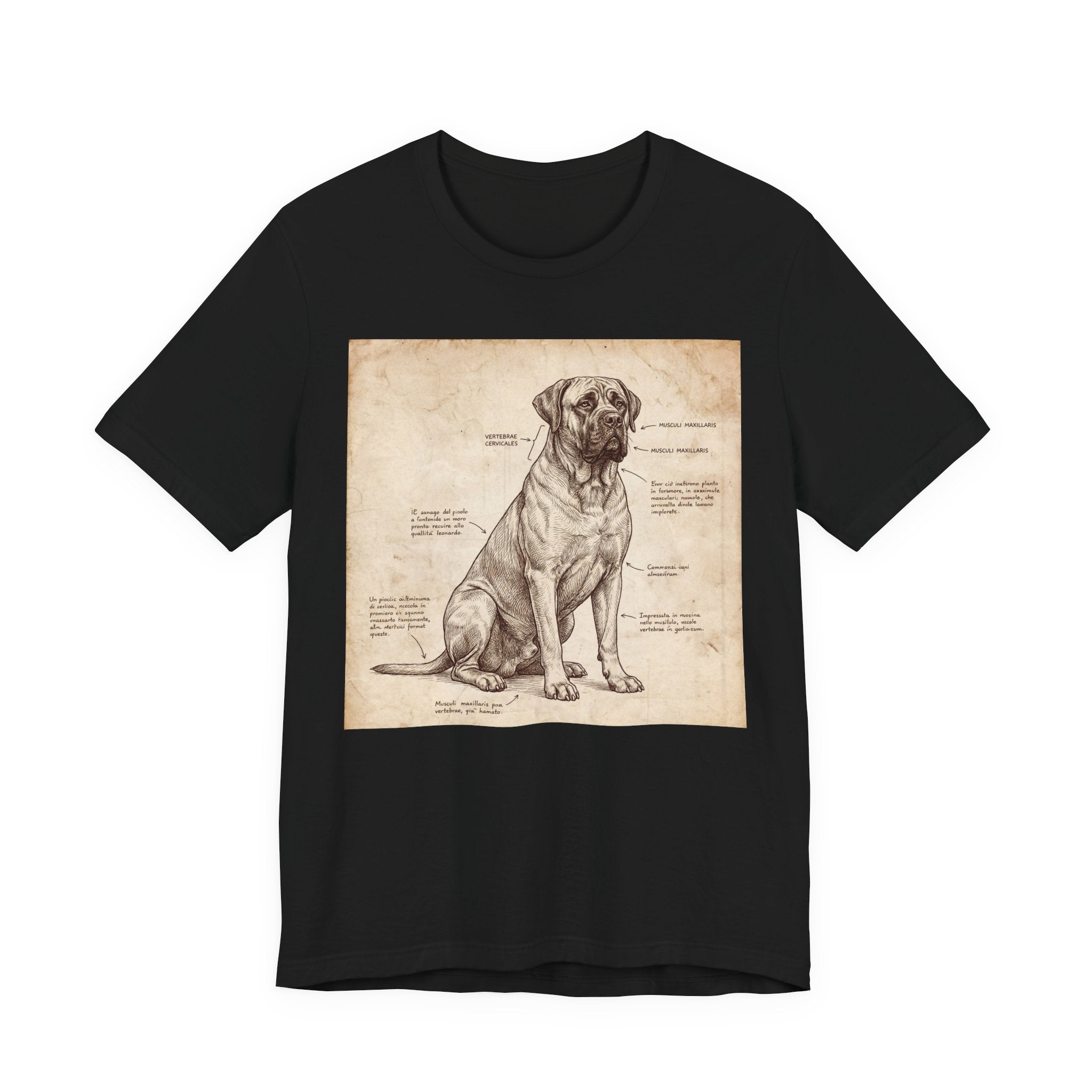 Da Vinci Style Mastiff T-Shirt — Anatomical Parchment Art Print