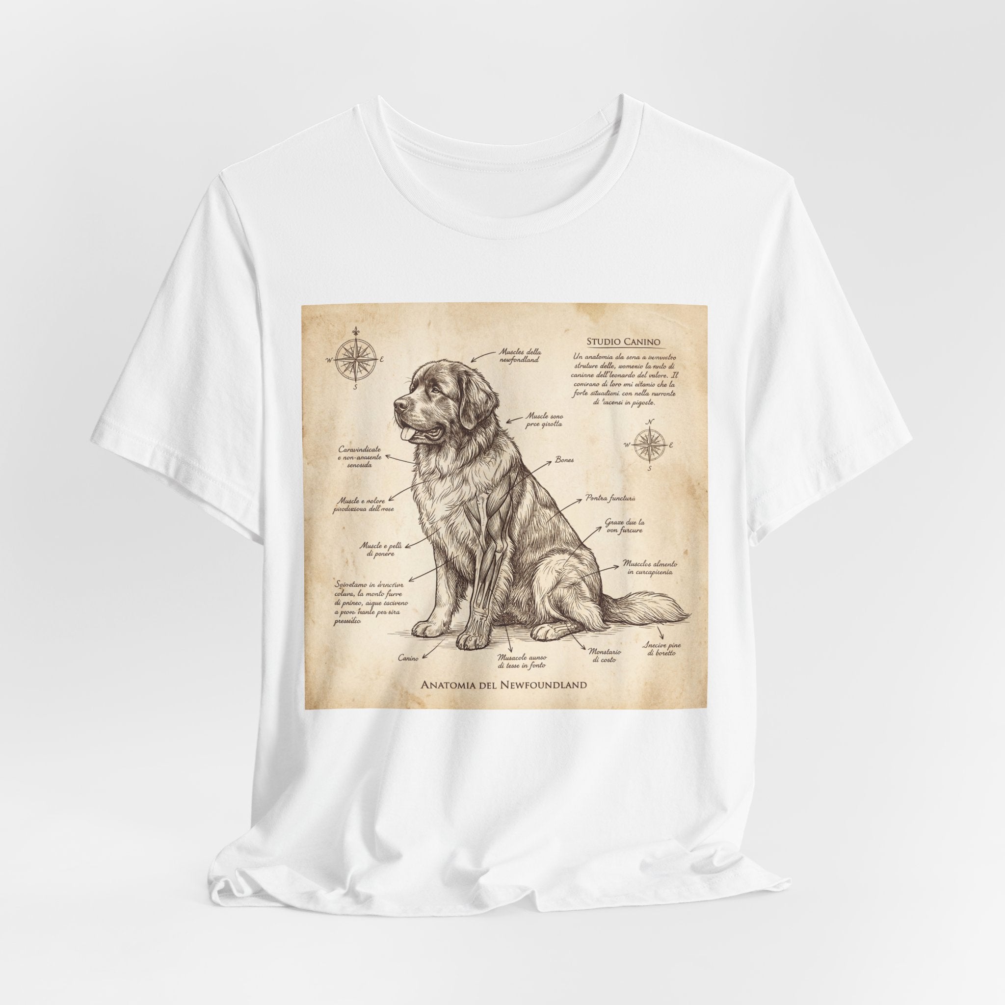 Da Vinci Style Newfoundland T-Shirt — Sepia Anatomical Study Art Print