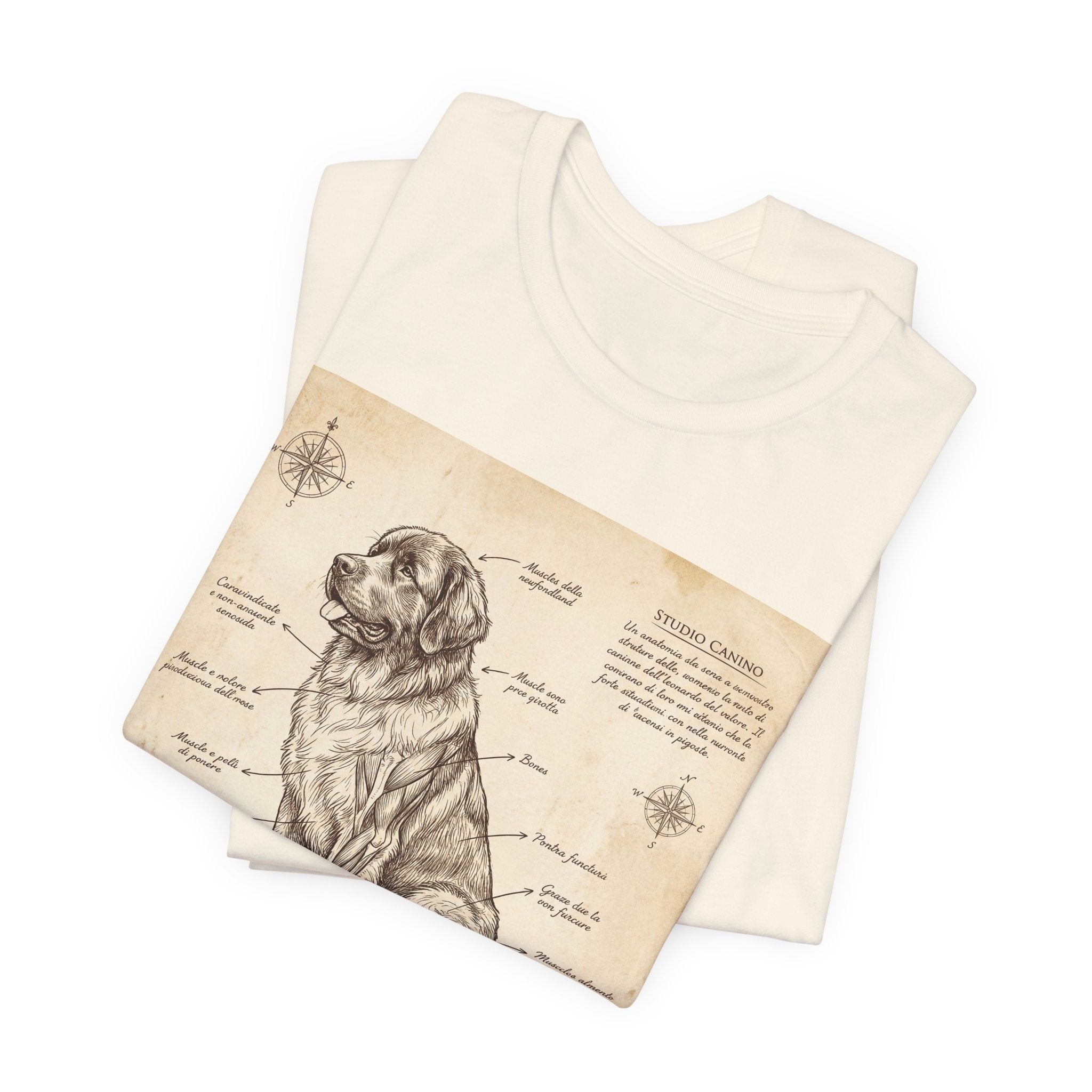 Da Vinci Style Newfoundland T-Shirt — Sepia Anatomical Study Art Print