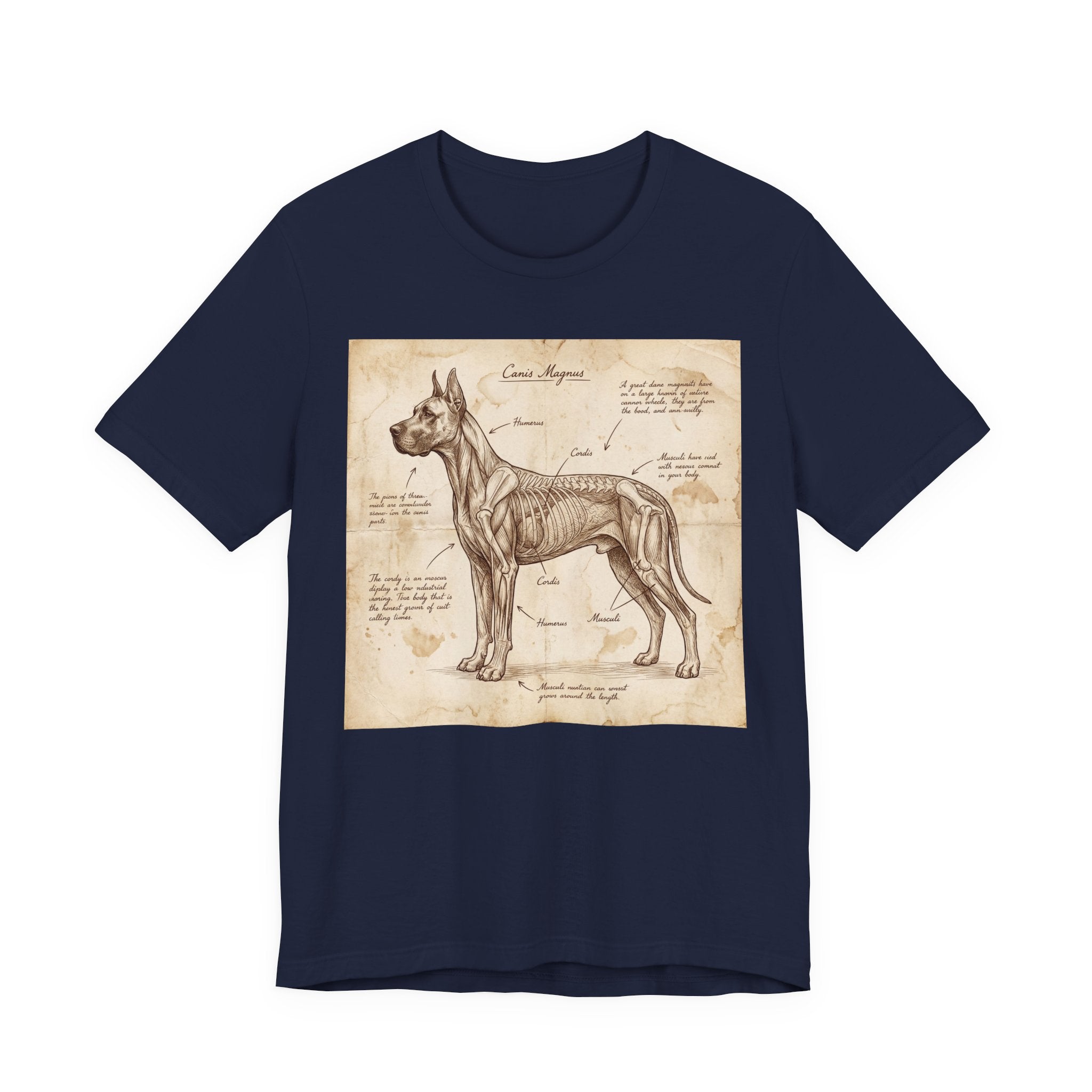 Da Vinci Style Great Dane T-Shirt — Anatomical Parchment Art Print