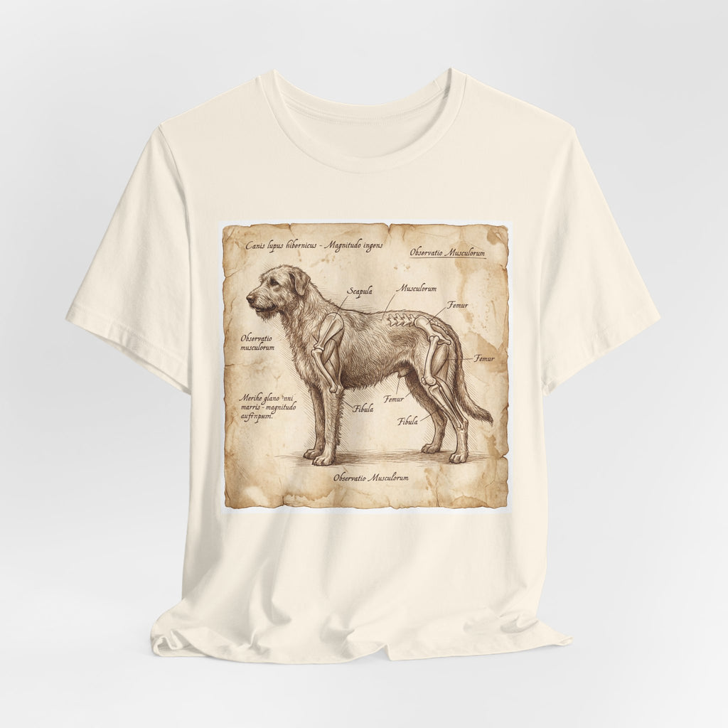 Da Vinci Style Irish Wolfhound T-Shirt — Anatomical Parchment Art Print