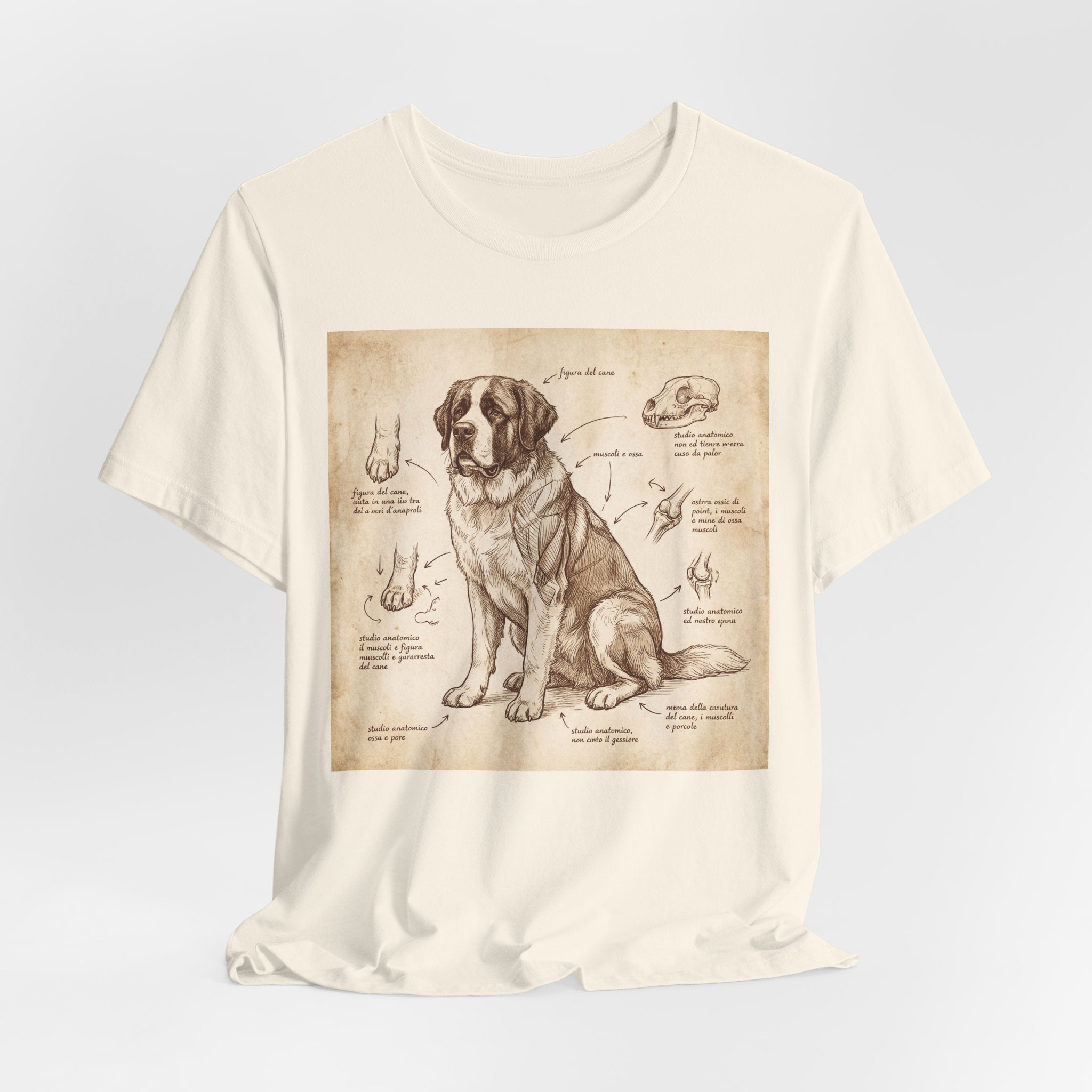 Anatomical Study Saint Bernard T-Shirt — Da Vinci Sketch Art Print