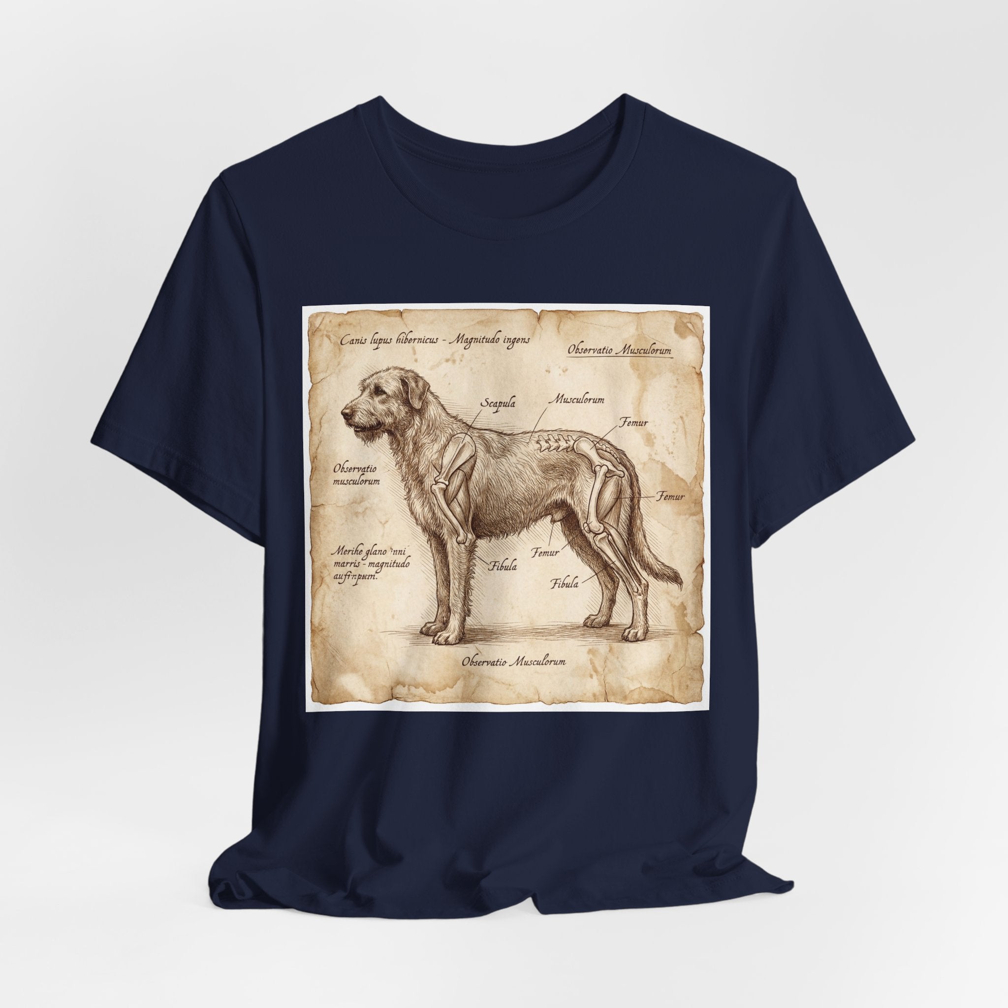 Da Vinci Style Irish Wolfhound T-Shirt — Anatomical Parchment Art Print
