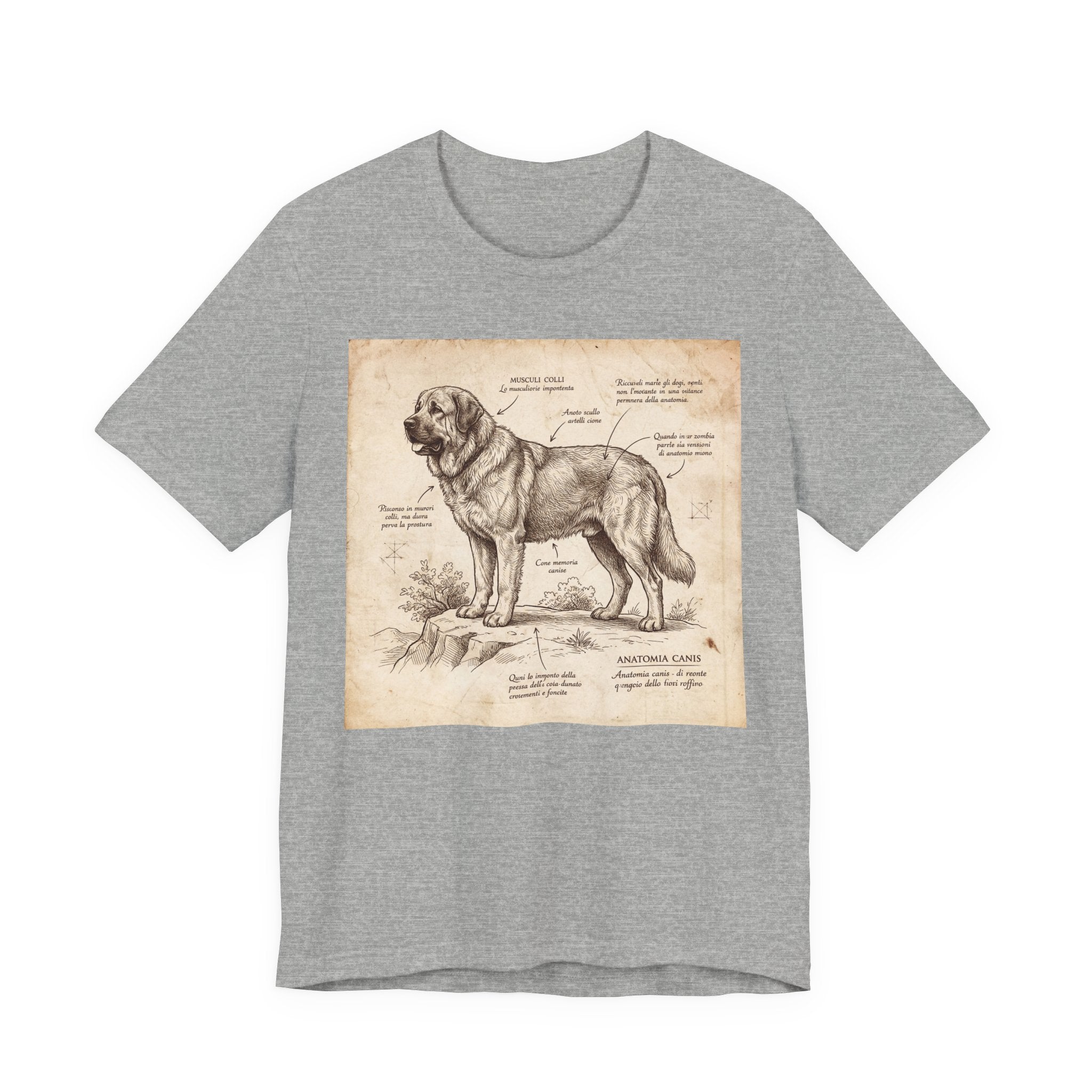 Anatomical Sketch Spanish Mastiff T-Shirt — Parchment Study Art Print