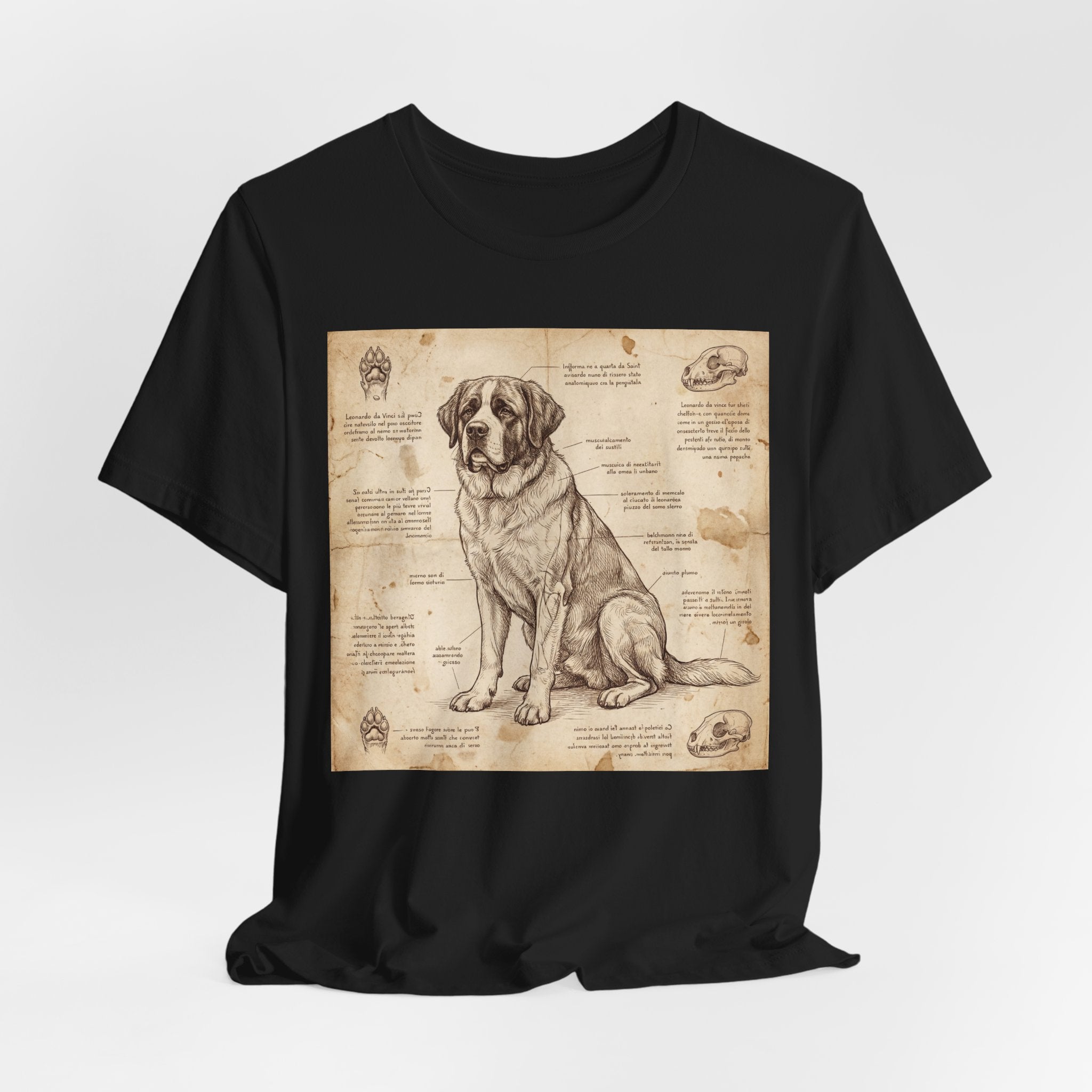 Da Vinci Style Saint Bernard T-Shirt — Anatomical Blueprint Art Print