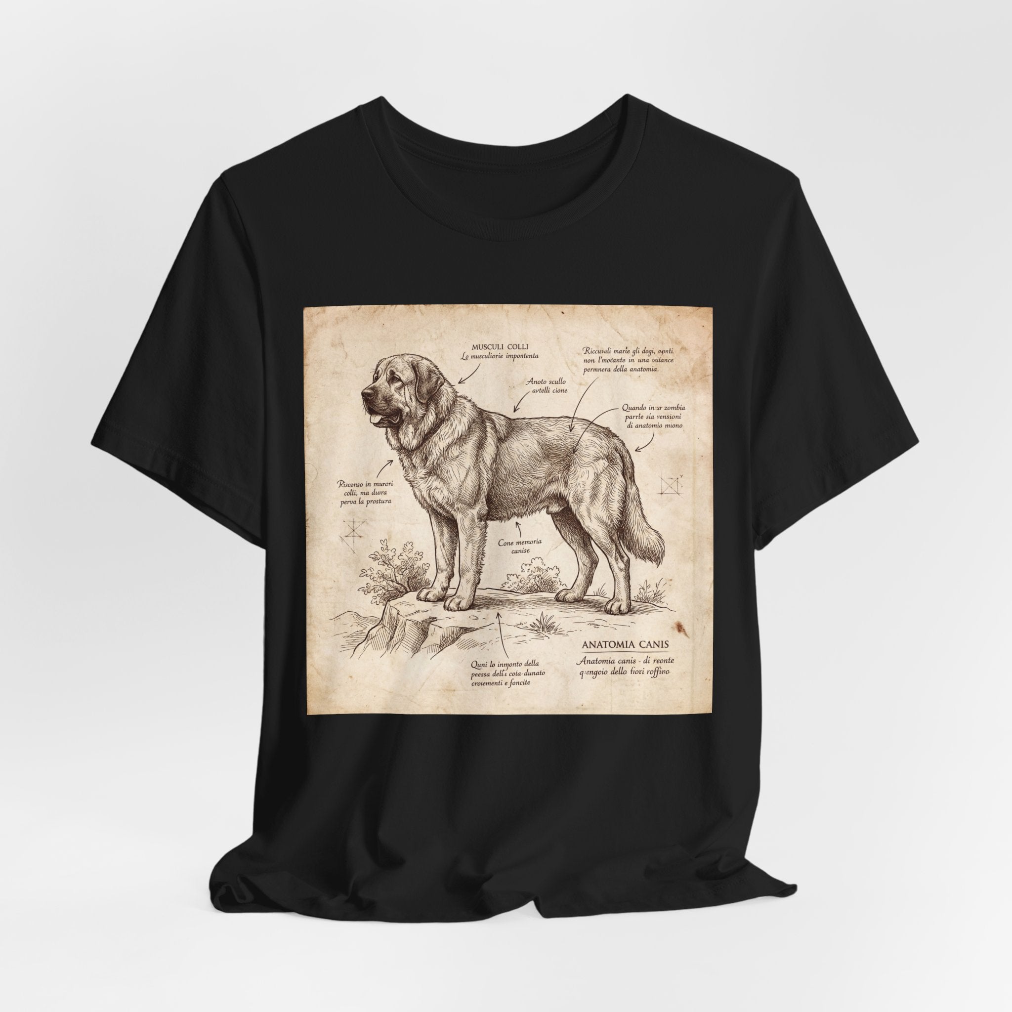 Anatomical Sketch Spanish Mastiff T-Shirt — Parchment Study Art Print