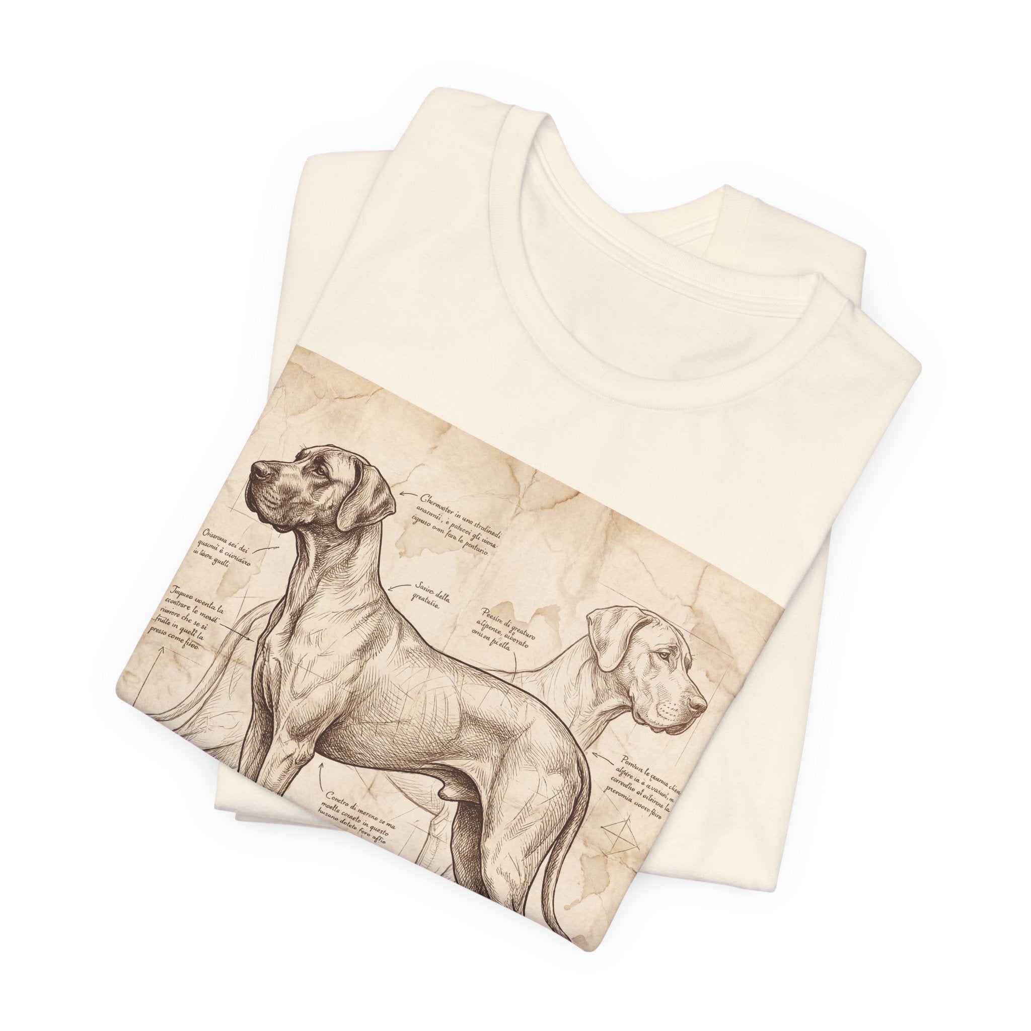 Da Vinci Style Great Dane T-Shirt — Anatomical Blueprint Art Print