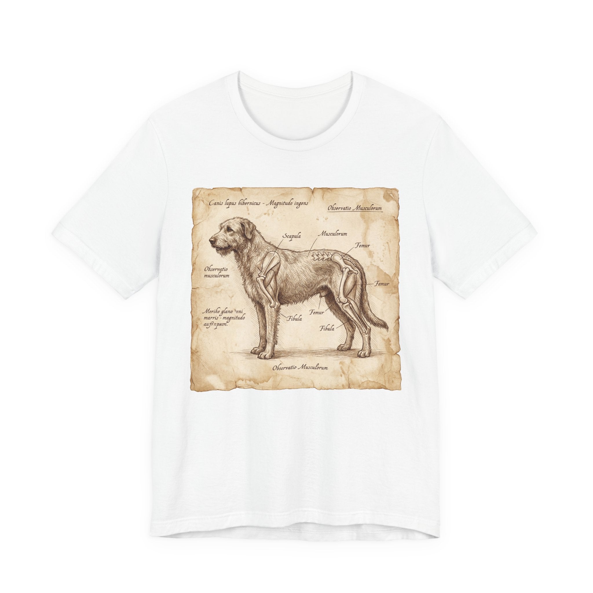 Da Vinci Style Irish Wolfhound T-Shirt — Anatomical Parchment Art Print