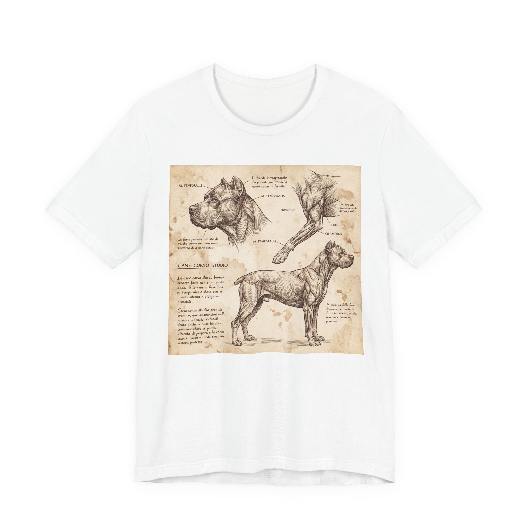 Da Vinci Style Cane Corso T-Shirt — Anatomical Study Art Print