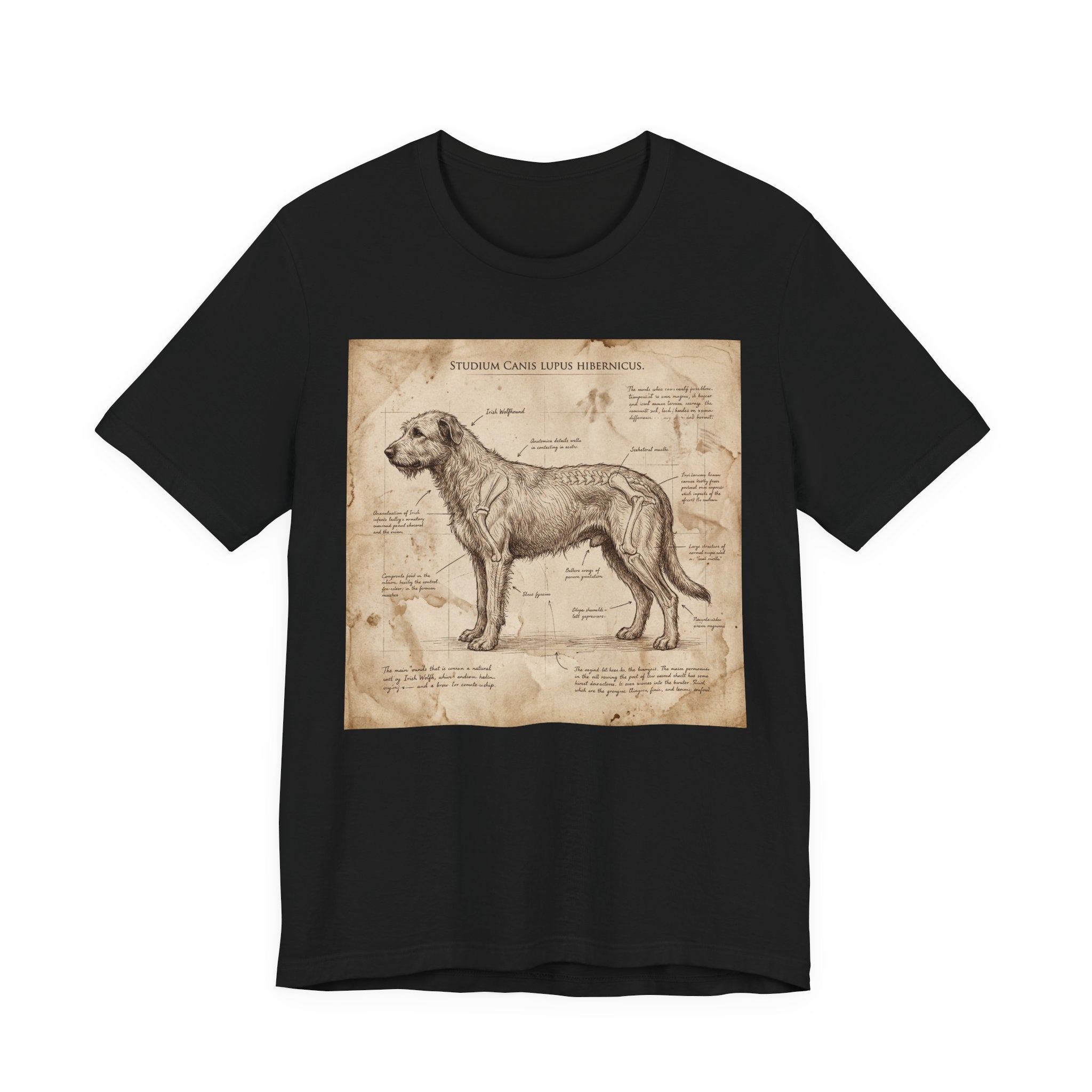 Da Vinci Study Irish Wolfhound T-Shirt — Aged Parchment Art Print