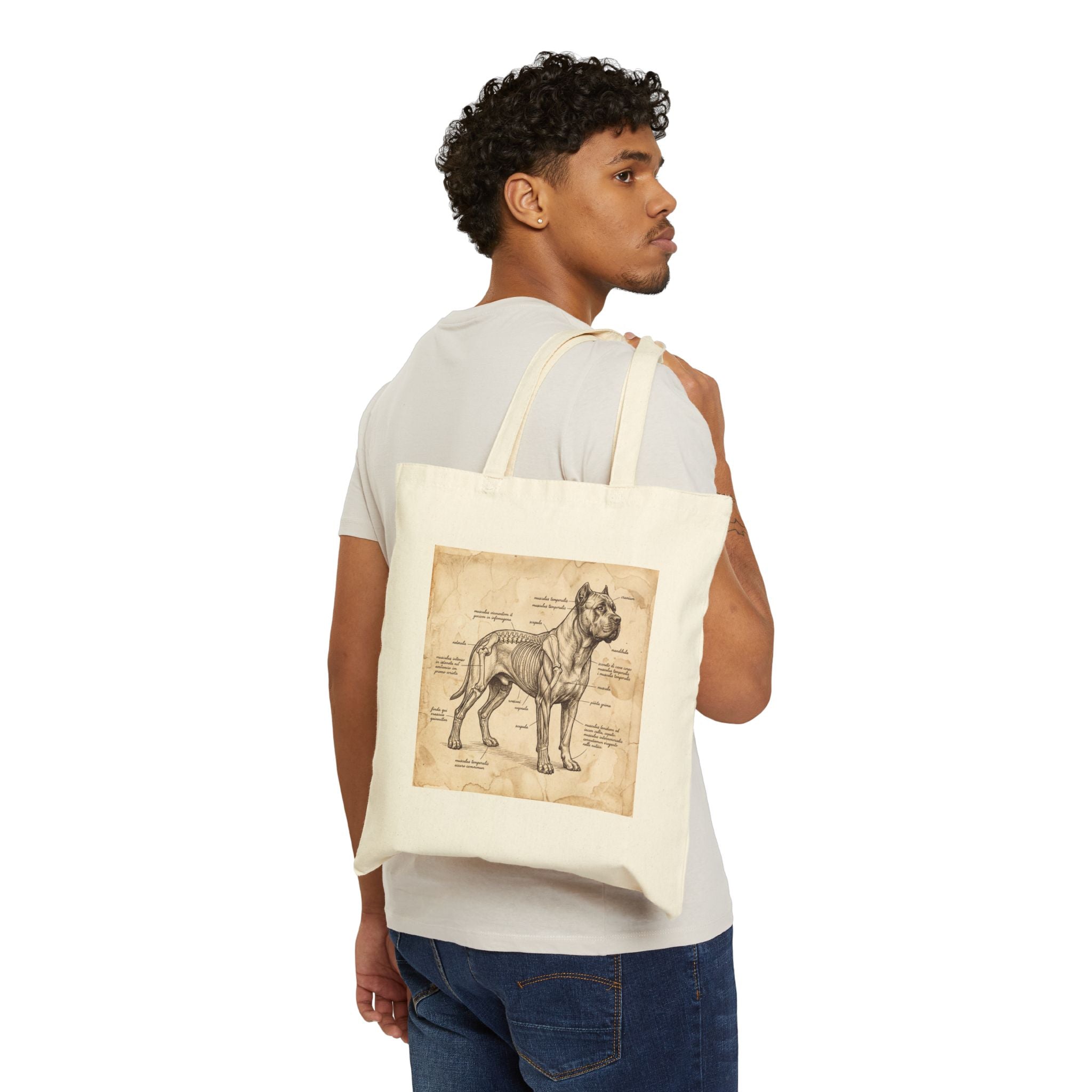 Anatomical Cane Corso Tote Bag – Da Vinci Muscle Study Art Print – lifestyle view