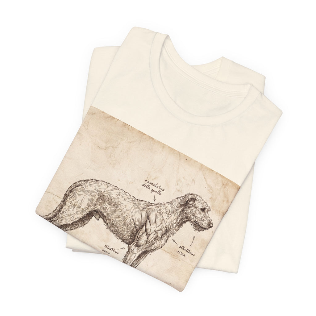 Anatomical Irish Wolfhound T-Shirt — Aged Parchment Sketch Art Print