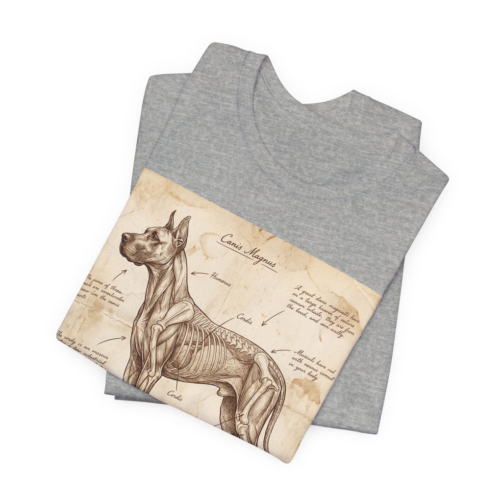 Da Vinci Style Great Dane T-Shirt — Anatomical Parchment Art Print