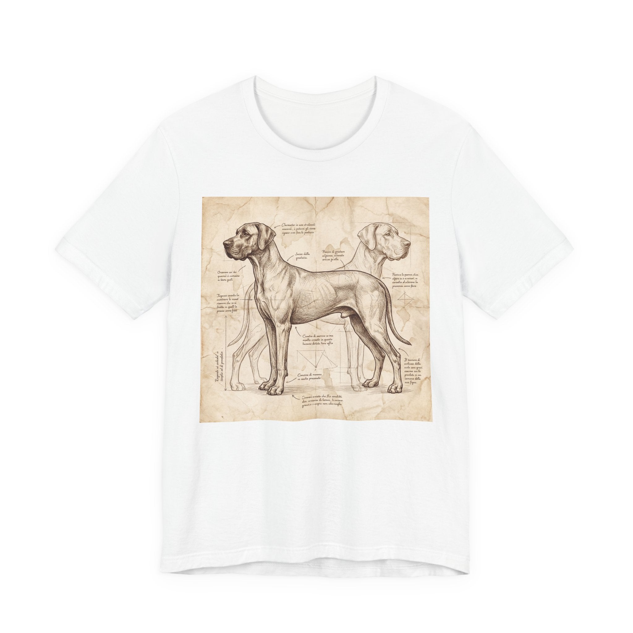 Da Vinci Style Great Dane T-Shirt — Anatomical Blueprint Art Print