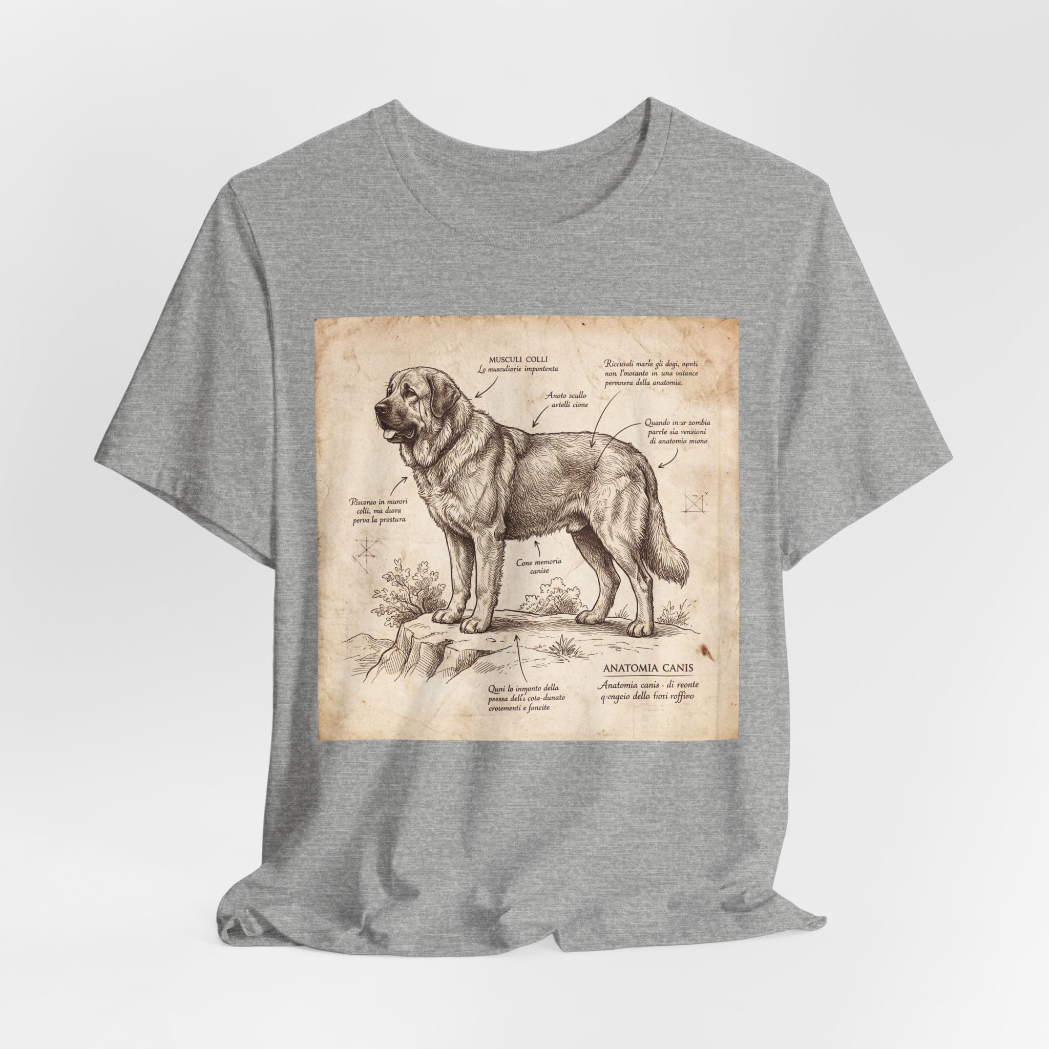 Anatomical Sketch Spanish Mastiff T-Shirt — Parchment Study Art Print