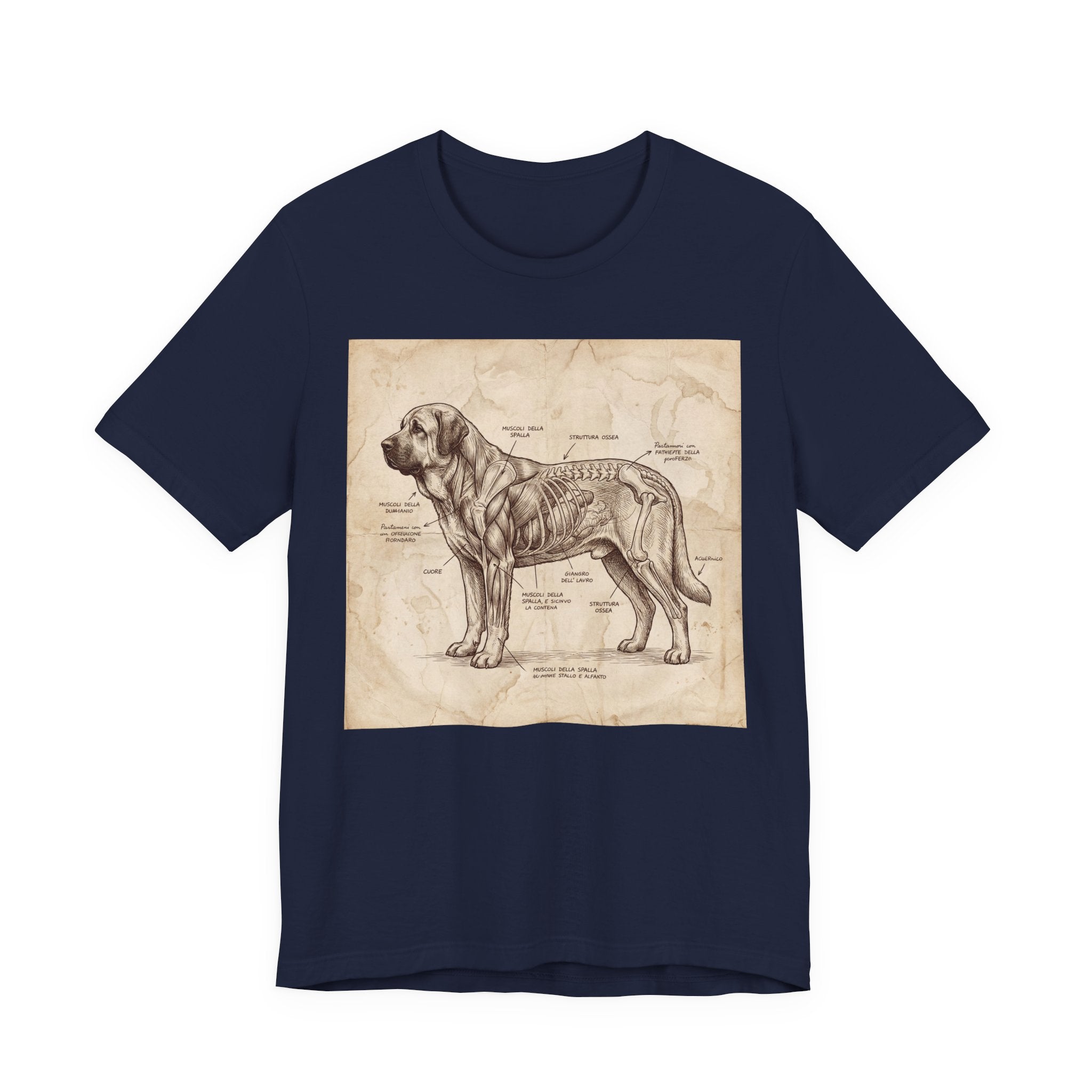 Da Vinci Style Spanish Mastiff T-Shirt — Anatomical Parchment Art Print