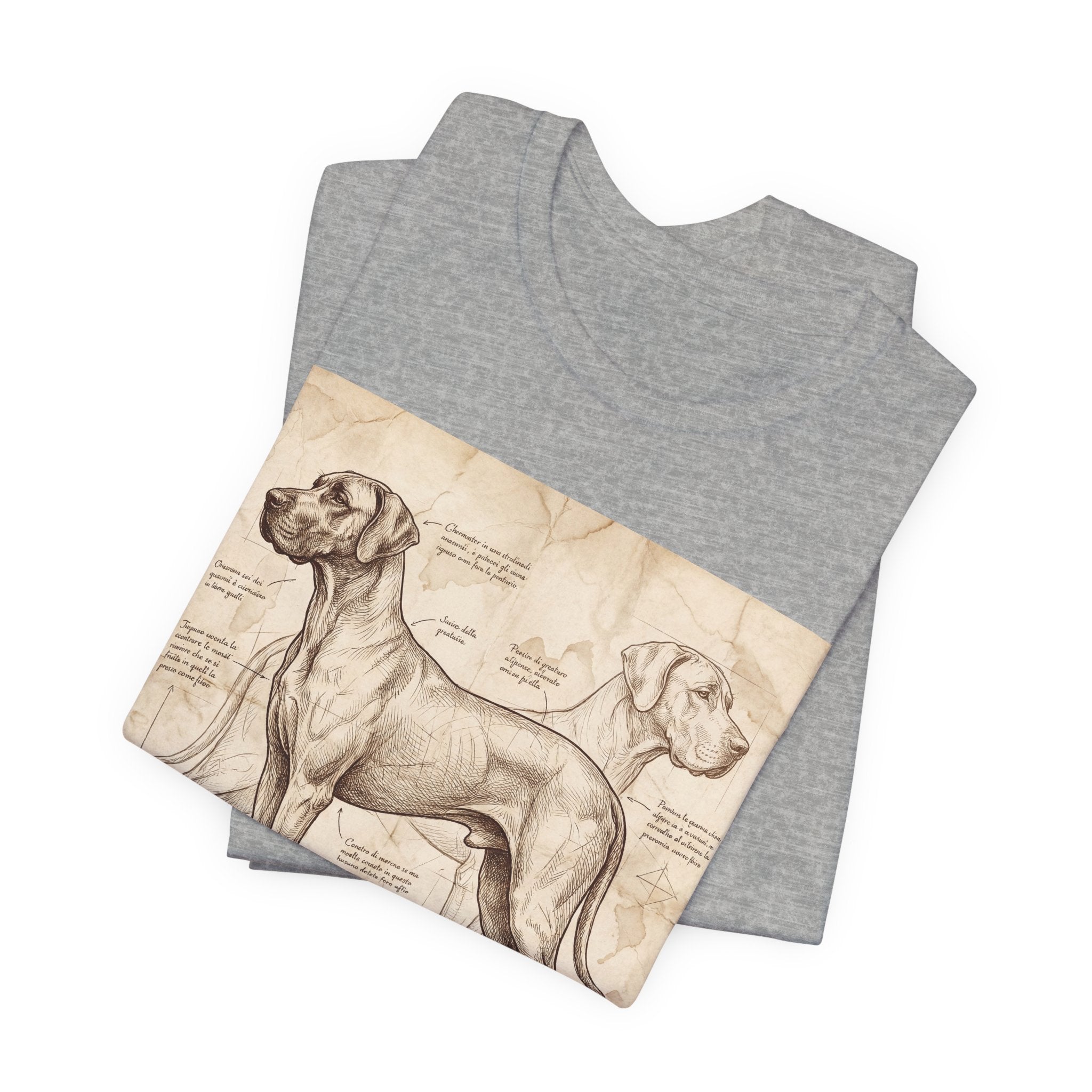 Da Vinci Style Great Dane T-Shirt — Anatomical Blueprint Art Print