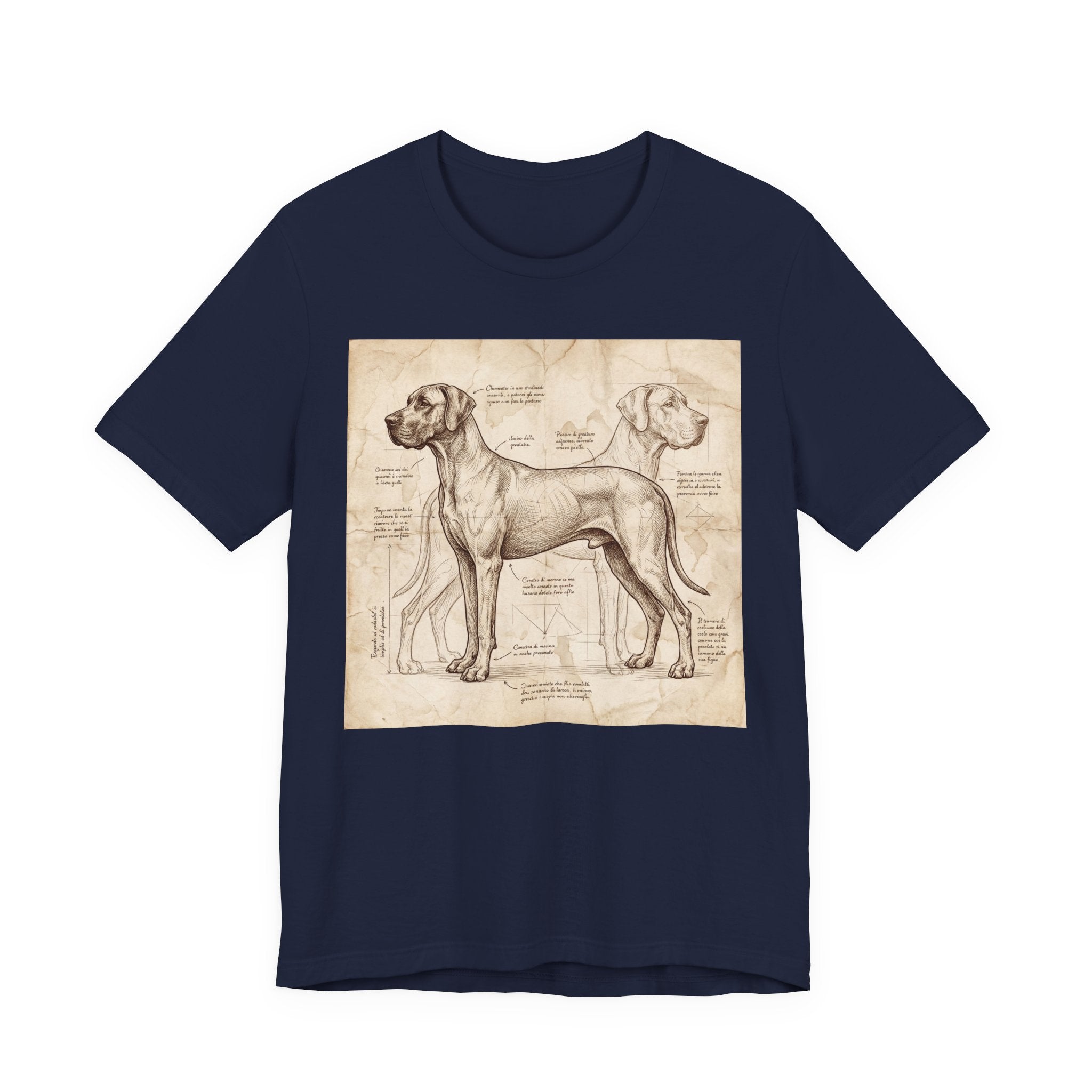 Da Vinci Style Great Dane T-Shirt — Anatomical Blueprint Art Print