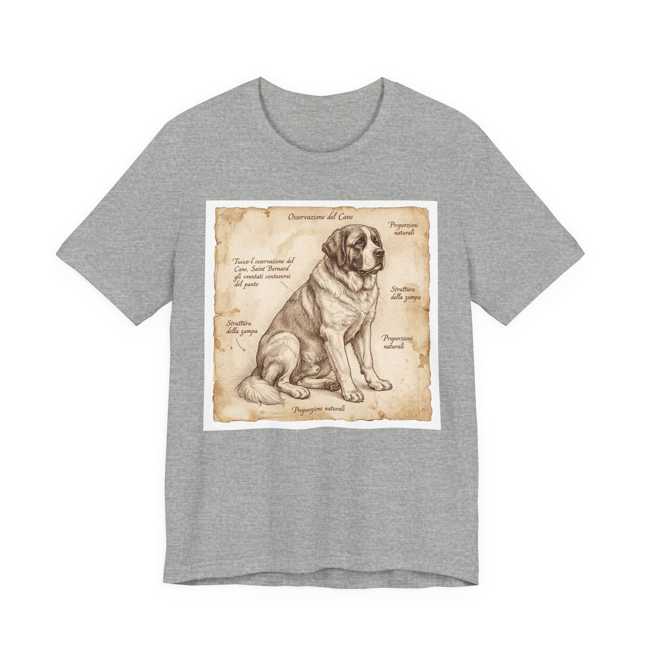 Anatomical Study Saint Bernard T-Shirt — Aged Parchment Art Print