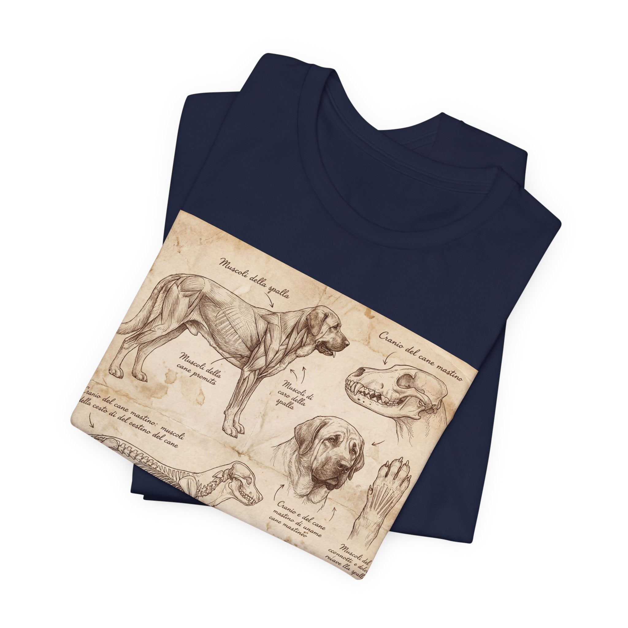 Da Vinci Style Mastiff T-Shirt — Anatomical Study Sepia Art Print