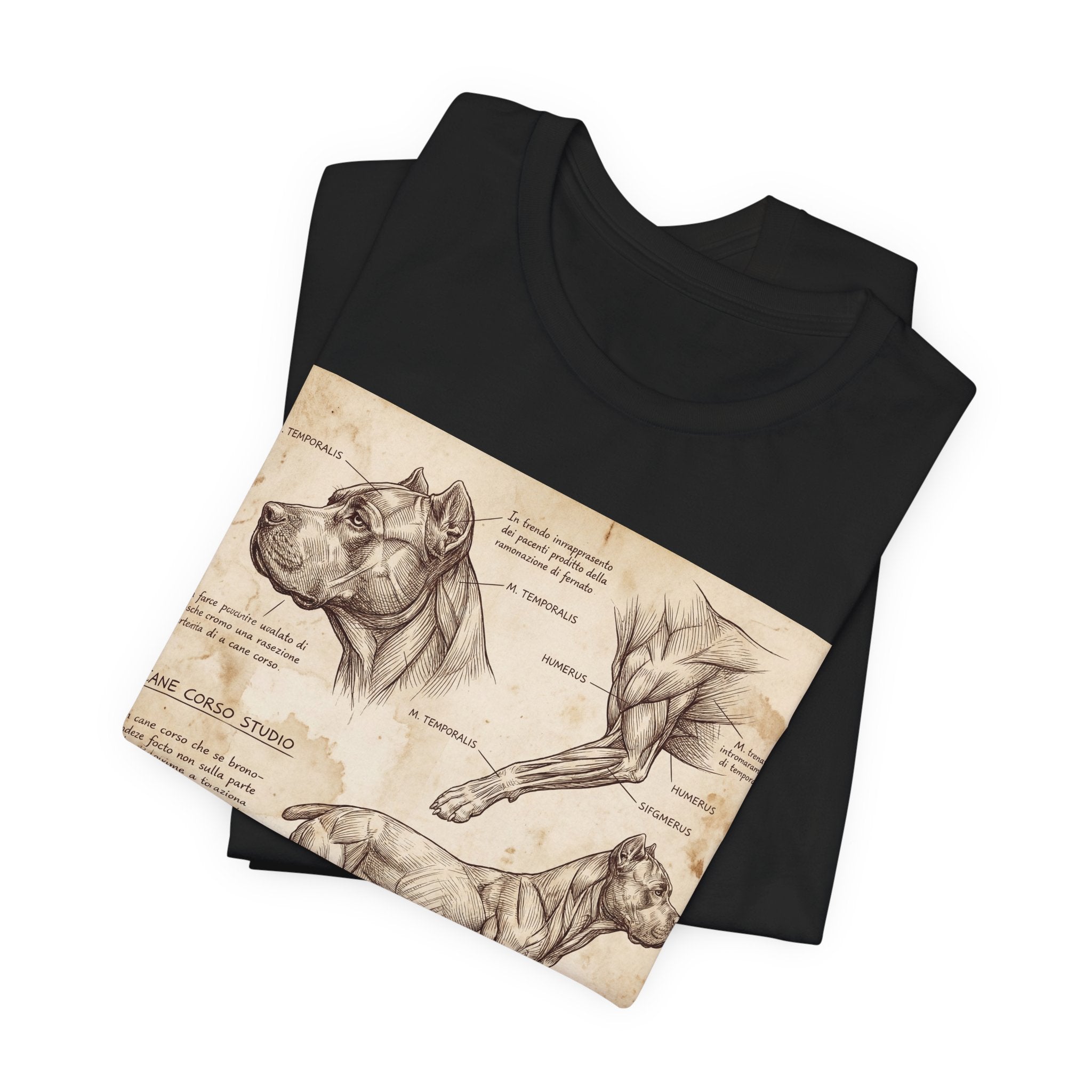 Da Vinci Style Cane Corso T-Shirt — Anatomical Study Art Print