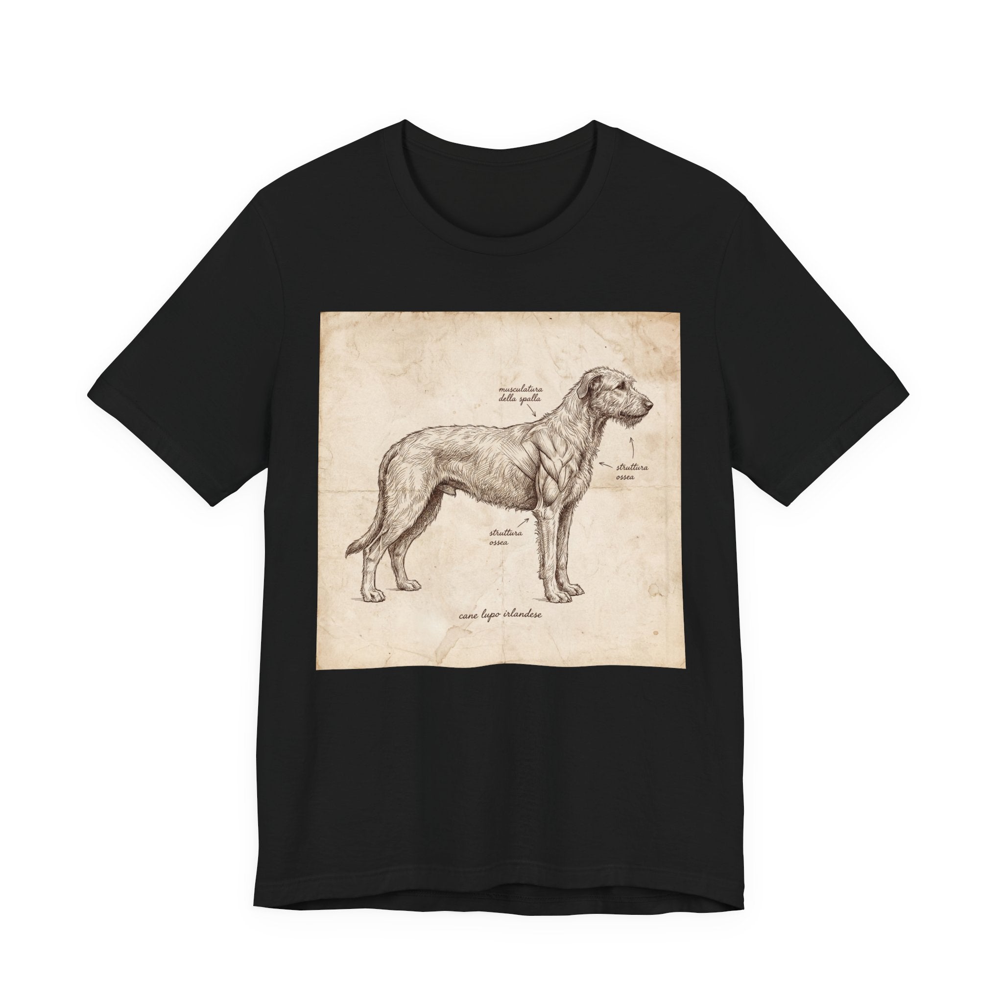 Anatomical Irish Wolfhound T-Shirt — Aged Parchment Sketch Art Print