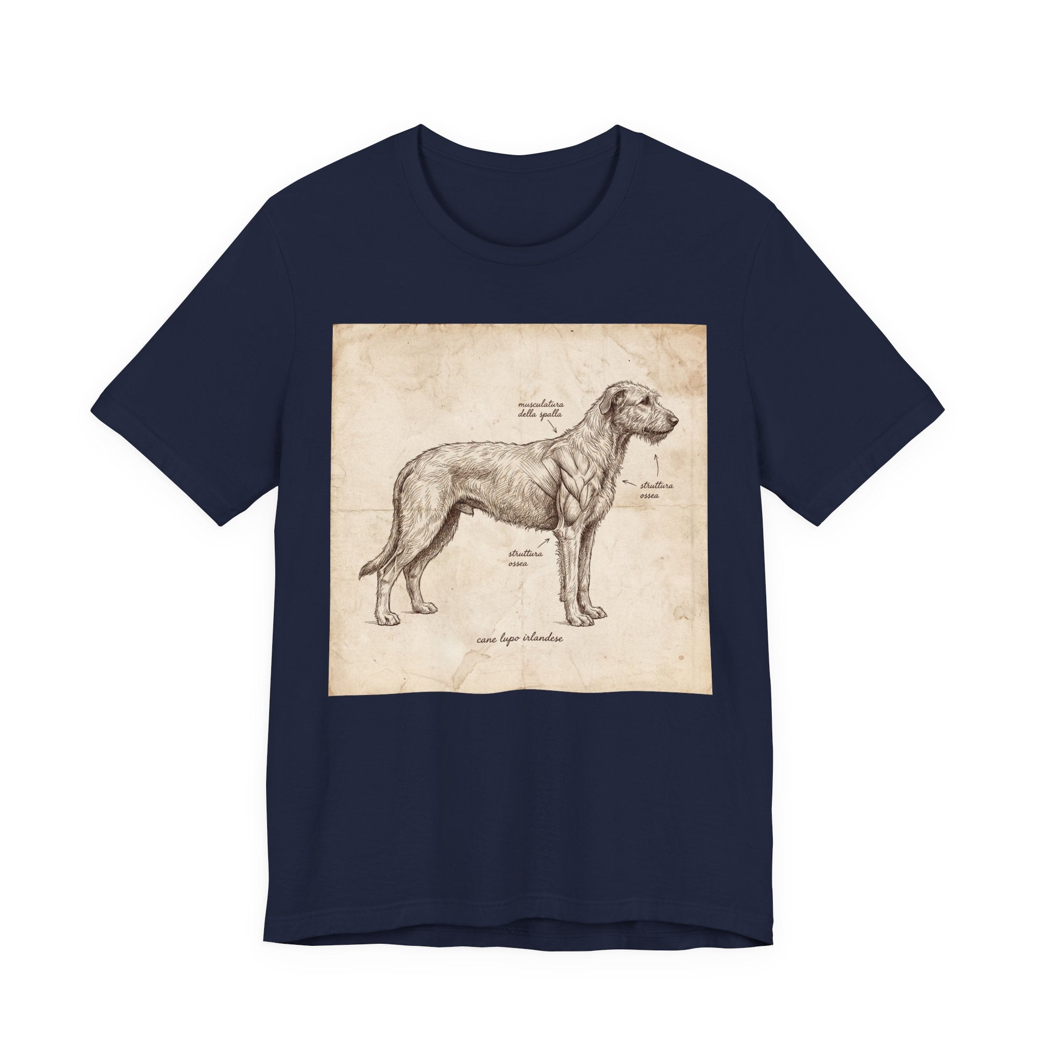Anatomical Irish Wolfhound T-Shirt — Aged Parchment Sketch Art Print