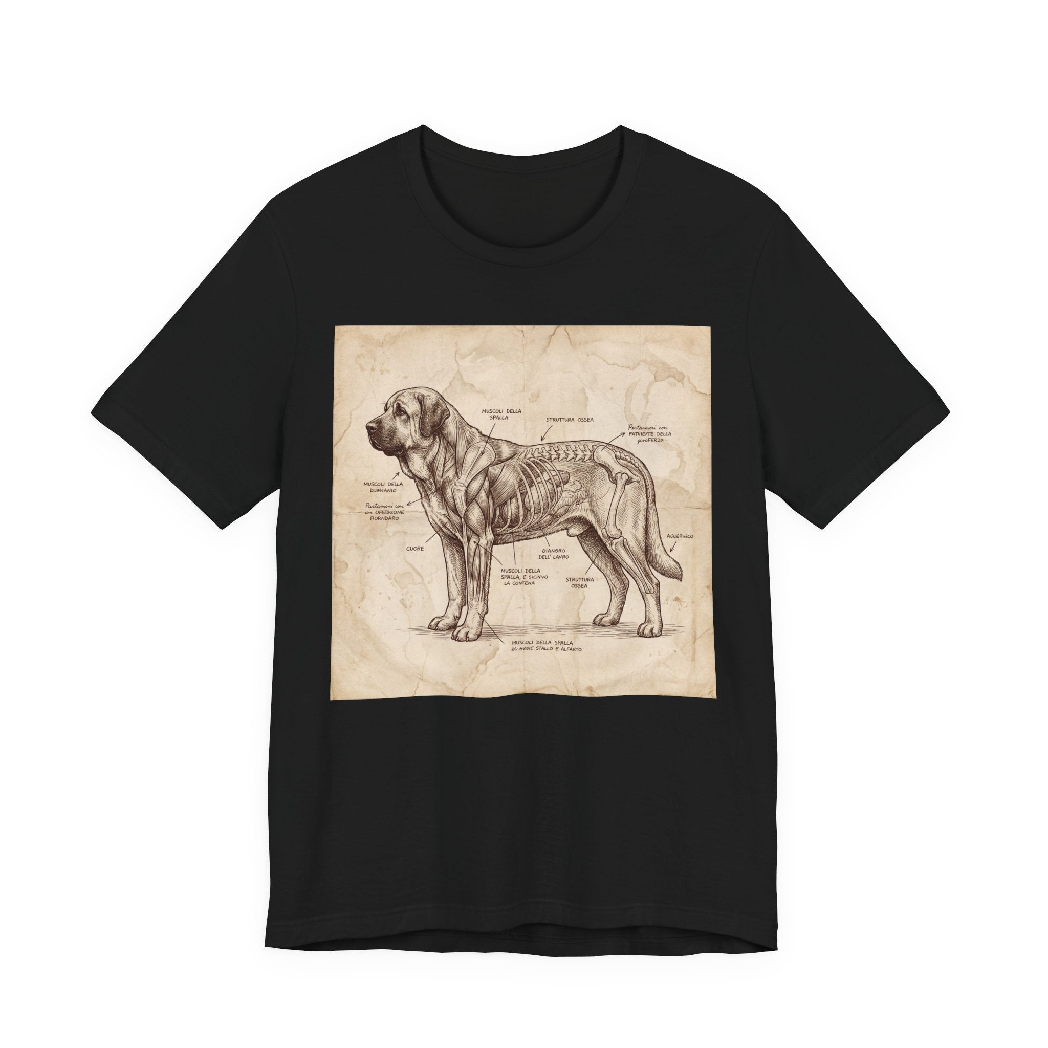 Da Vinci Style Spanish Mastiff T-Shirt — Anatomical Parchment Art Print