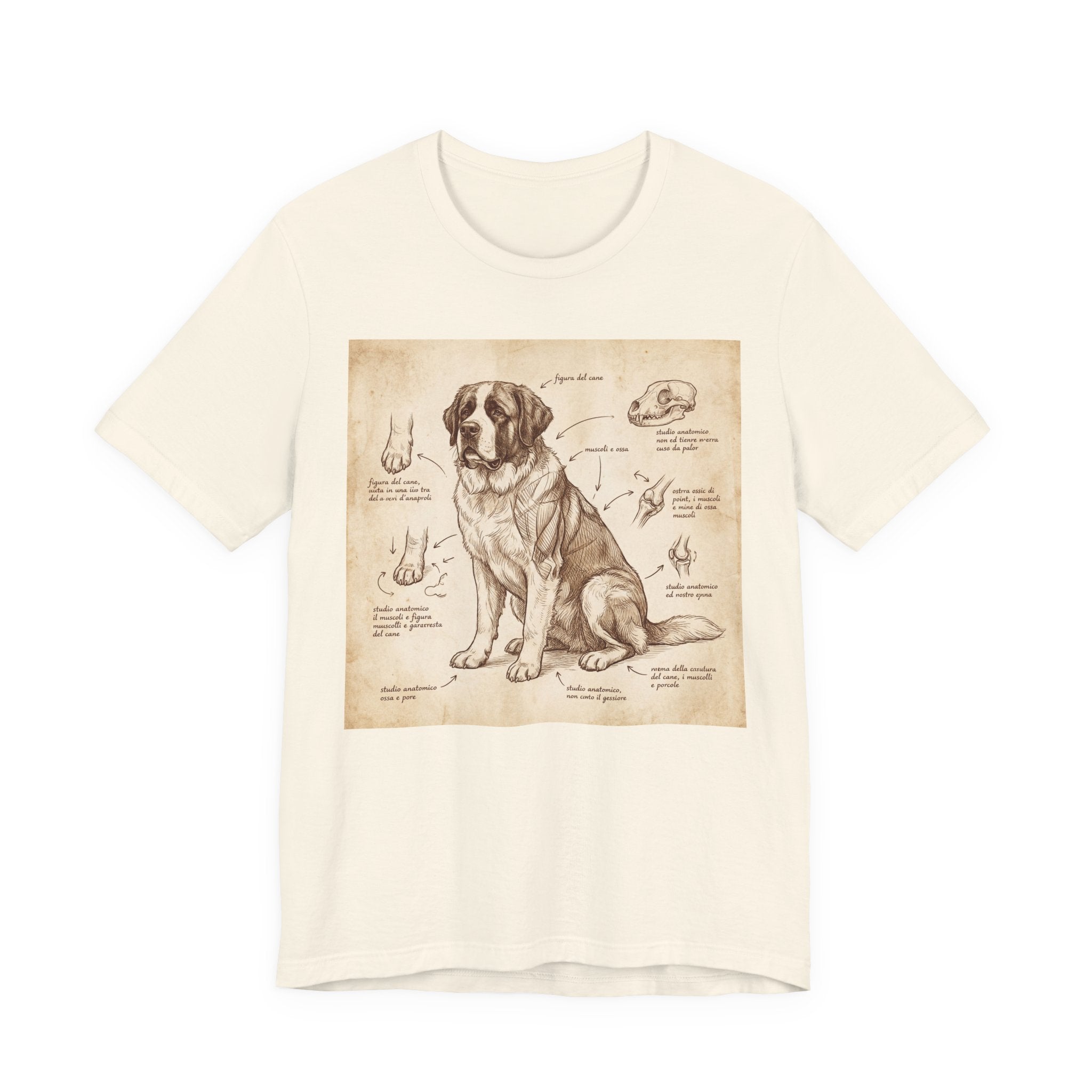 Anatomical Study Saint Bernard T-Shirt — Da Vinci Sketch Art Print