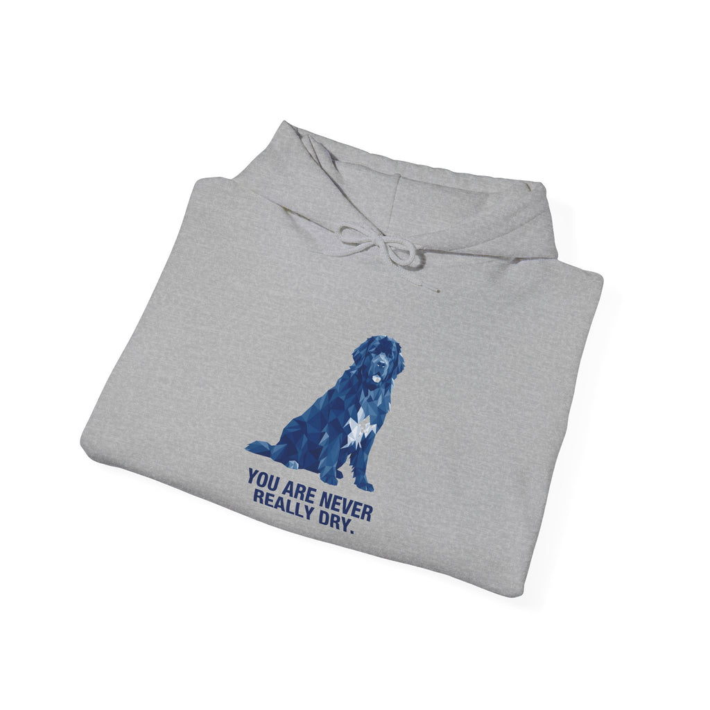 Newfoundland Low Poly Hoodie — Deep Blue Geometric Art Print