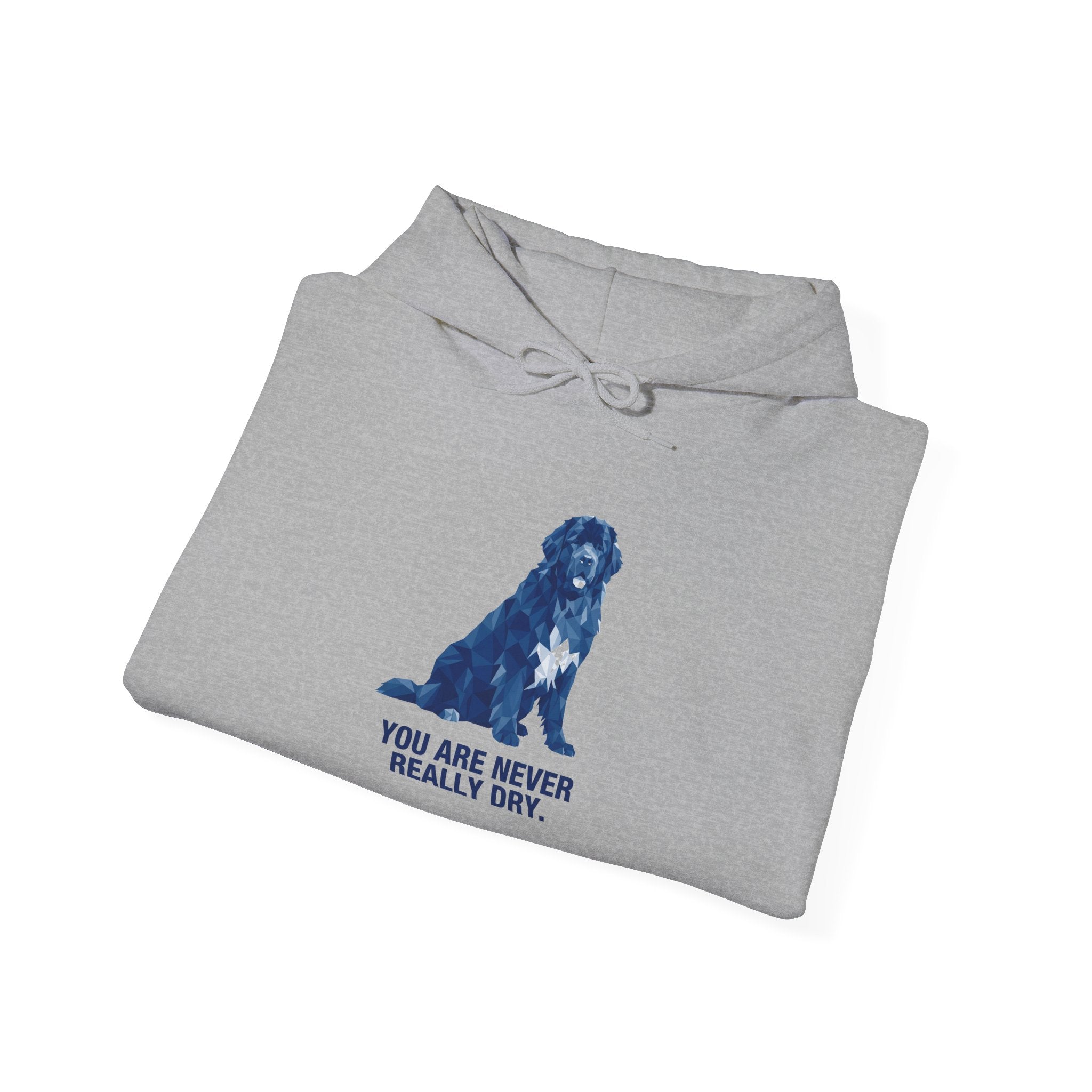 Newfoundland Low Poly Hoodie — Deep Blue Geometric Art Print