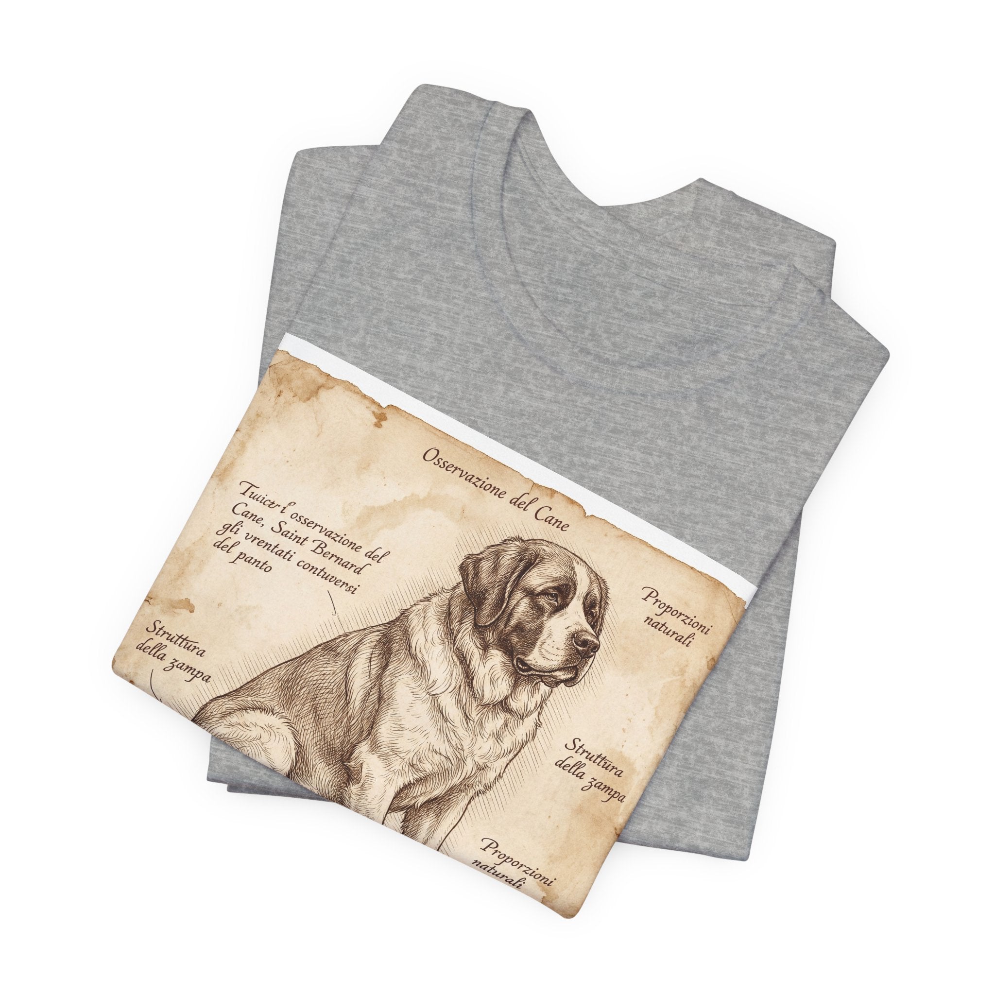 Anatomical Study Saint Bernard T-Shirt — Aged Parchment Art Print