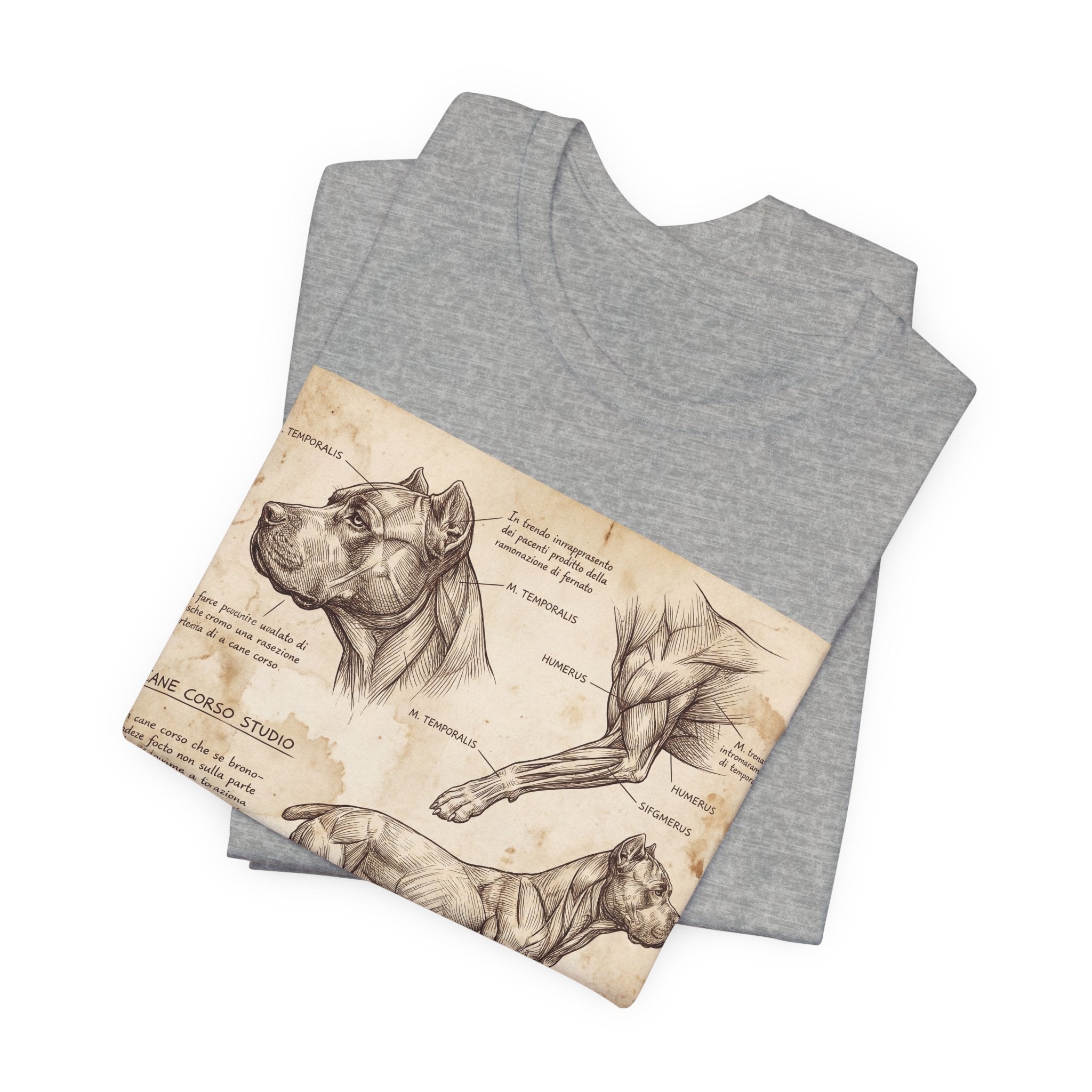 Da Vinci Style Cane Corso T-Shirt — Anatomical Study Art Print