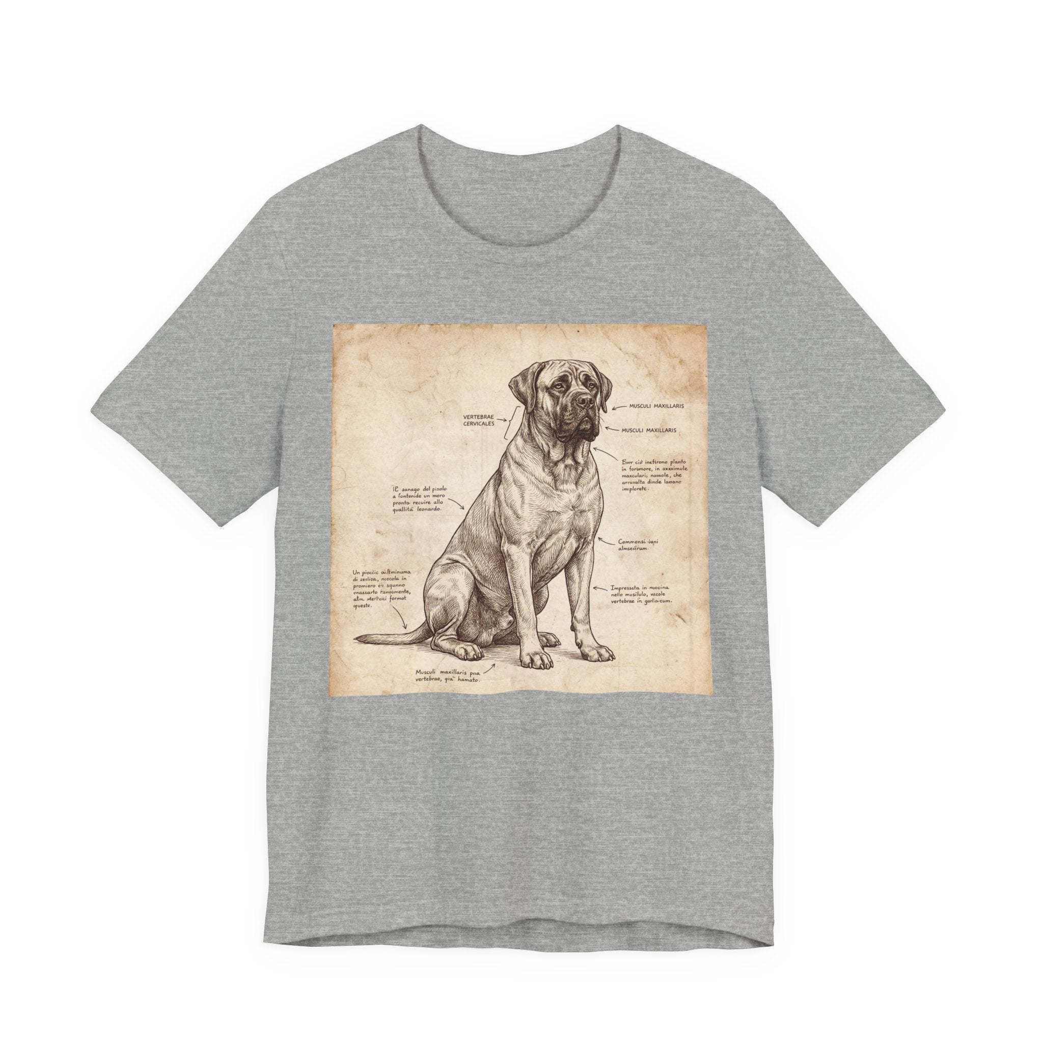 Da Vinci Style Mastiff T-Shirt — Anatomical Parchment Art Print