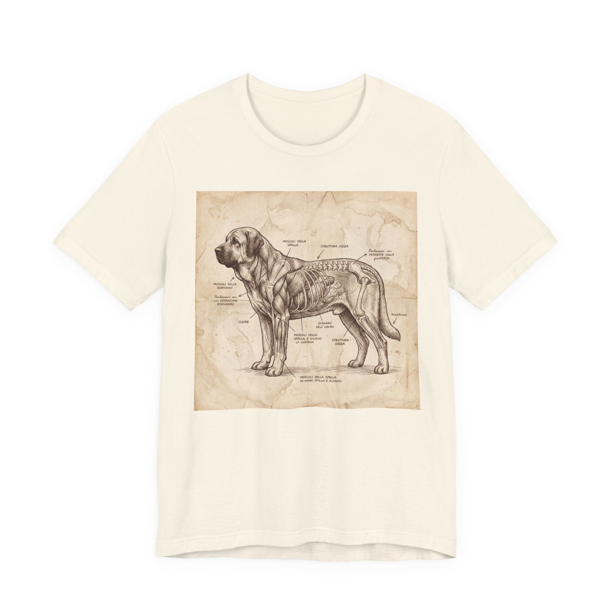 Da Vinci Style Spanish Mastiff T-Shirt — Anatomical Parchment Art Print