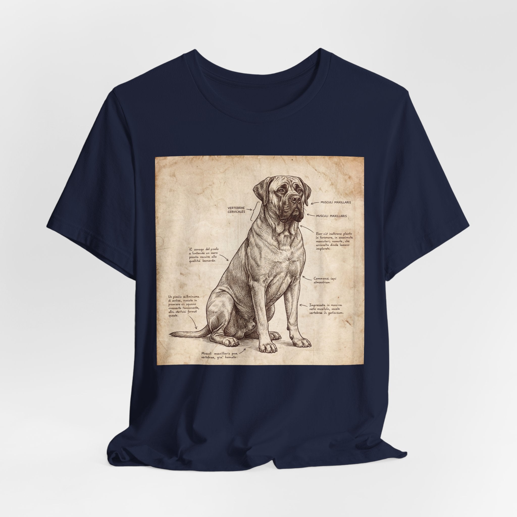 Da Vinci Style Mastiff T-Shirt — Anatomical Parchment Art Print