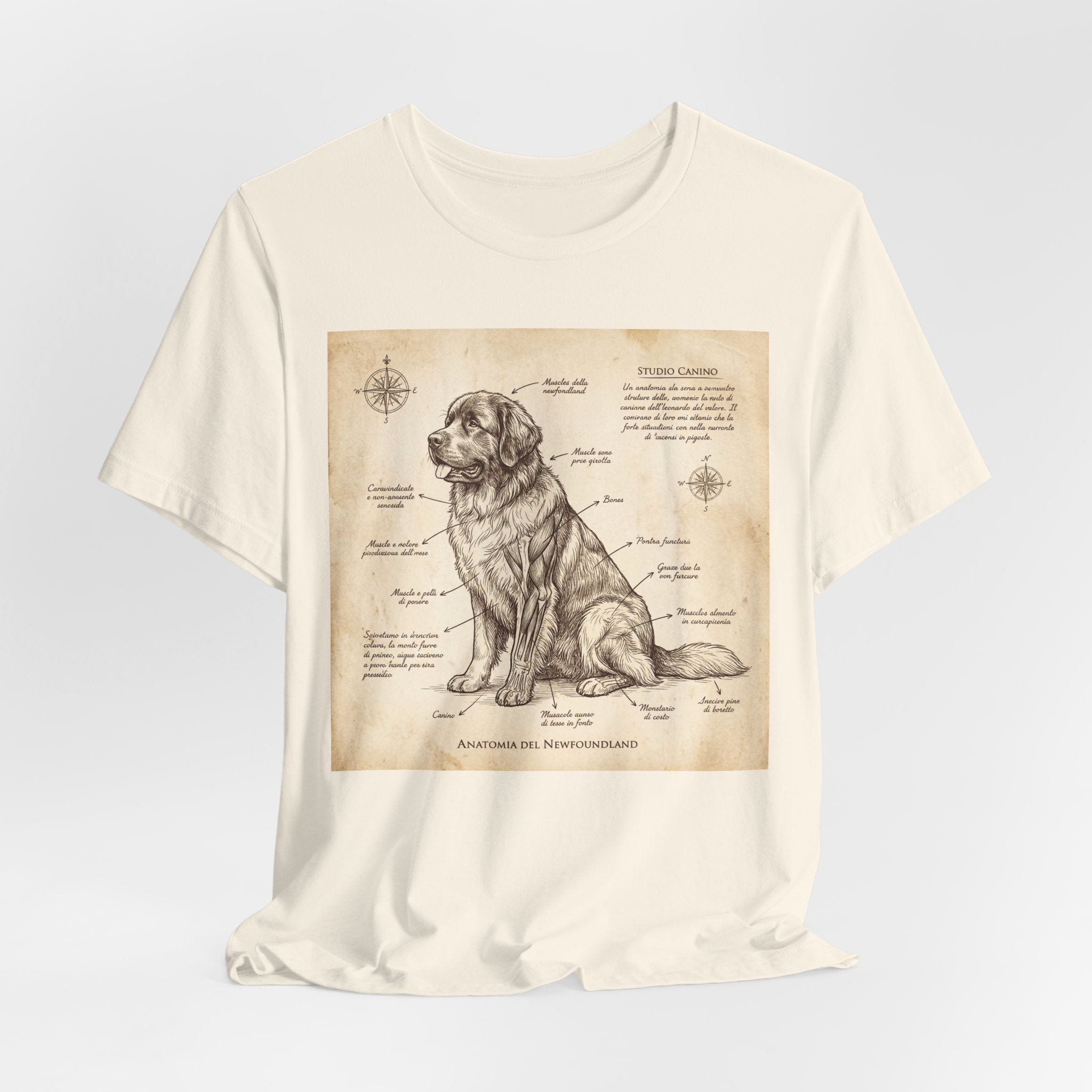 Da Vinci Style Newfoundland T-Shirt — Sepia Anatomical Study Art Print