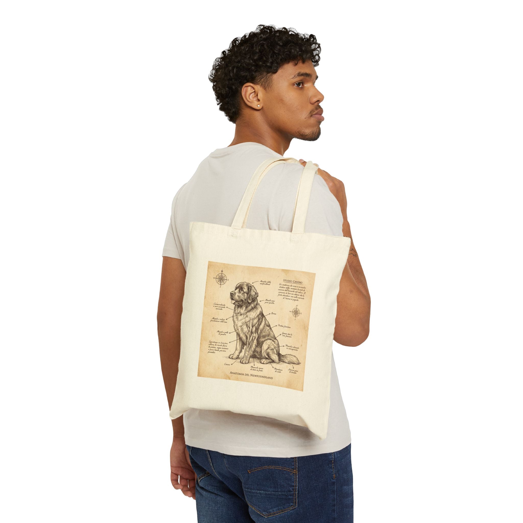 Anatomical Newfoundland Tote Bag – Da Vinci Sketch Art Print – lifestyle view