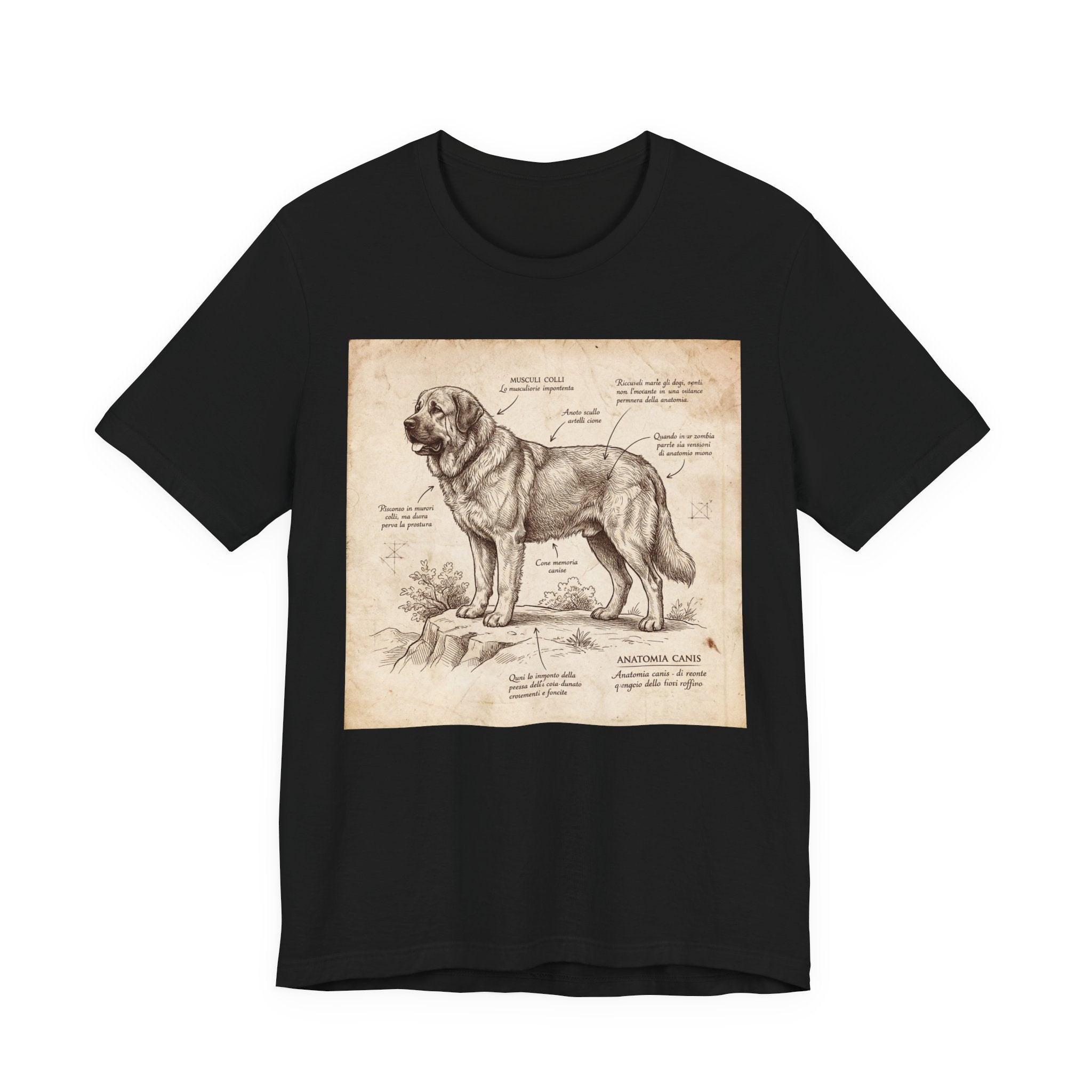 Anatomical Sketch Spanish Mastiff T-Shirt — Parchment Study Art Print