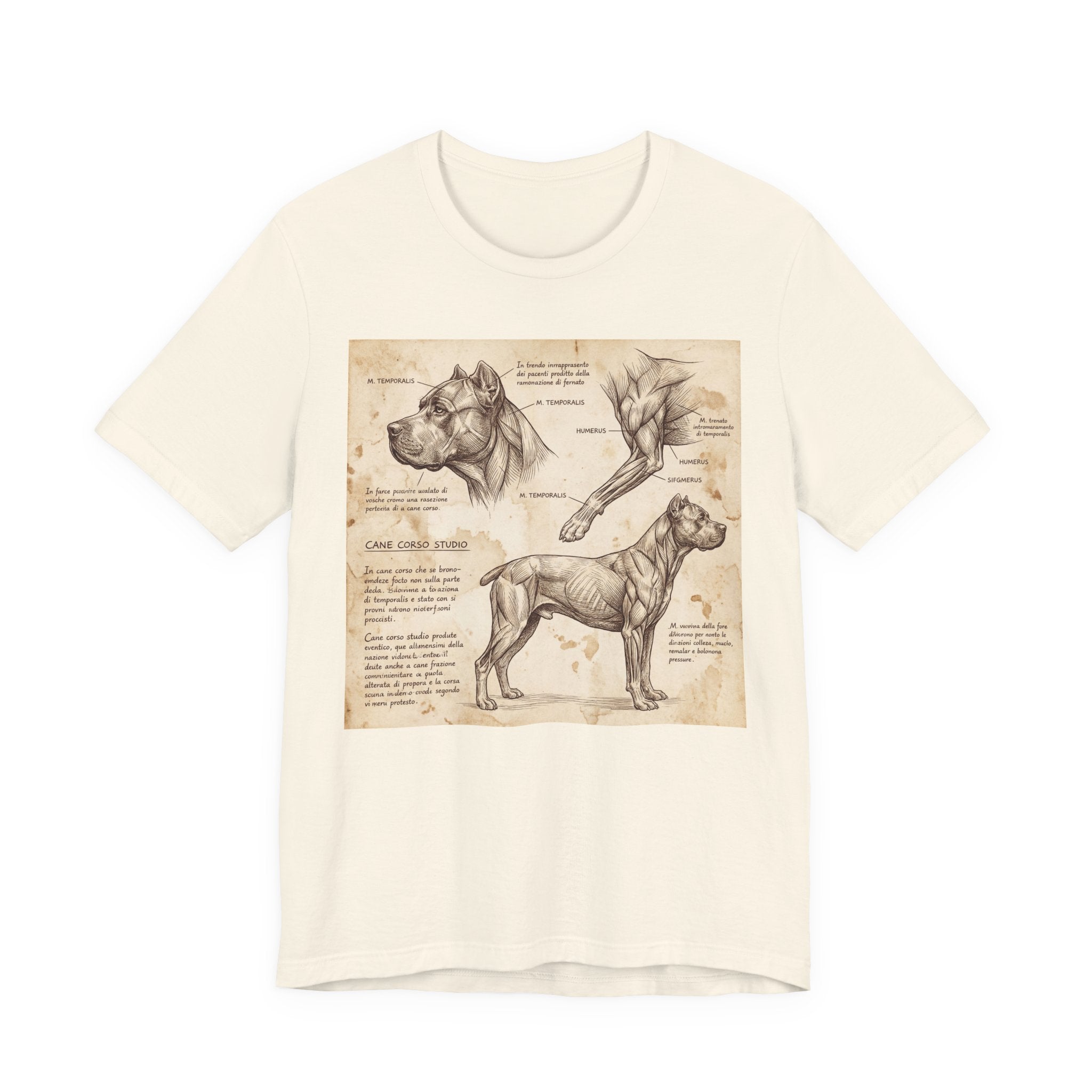 Da Vinci Style Cane Corso T-Shirt — Anatomical Study Art Print