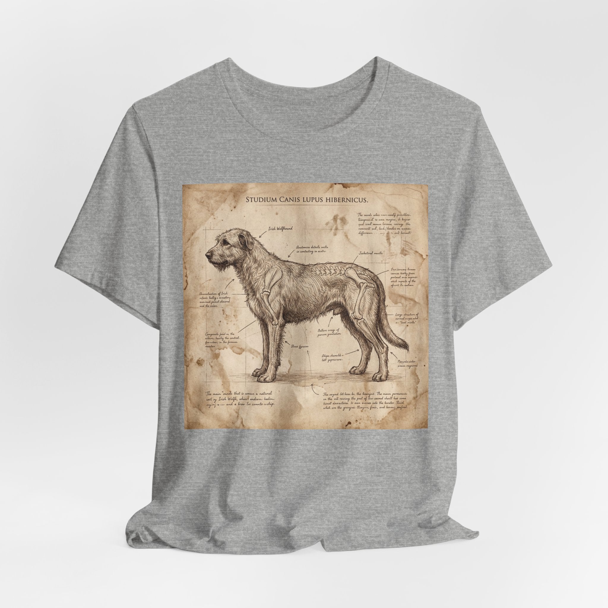 Da Vinci Study Irish Wolfhound T-Shirt — Aged Parchment Art Print