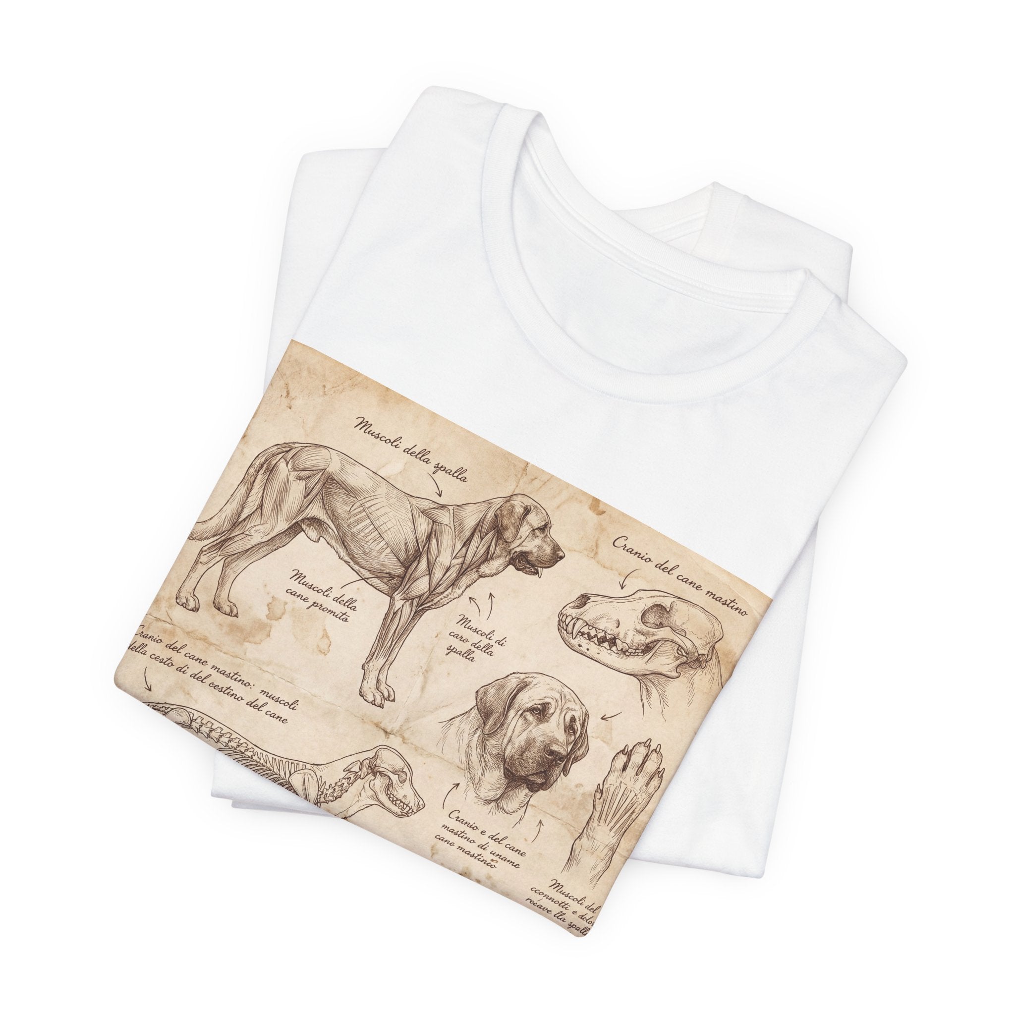 Da Vinci Style Mastiff T-Shirt — Anatomical Study Sepia Art Print