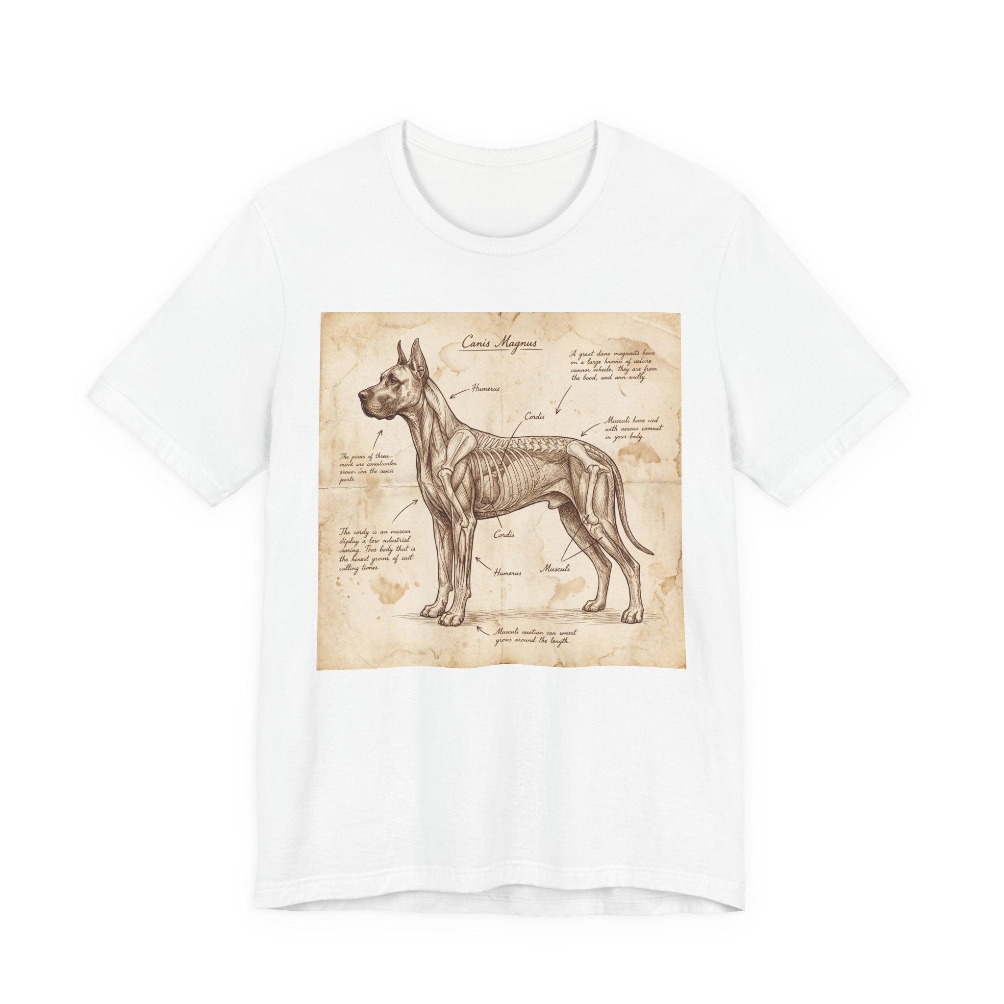 Da Vinci Style Great Dane T-Shirt — Anatomical Parchment Art Print