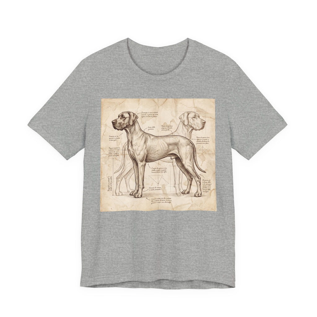 Da Vinci Style Great Dane T-Shirt — Anatomical Blueprint Art Print